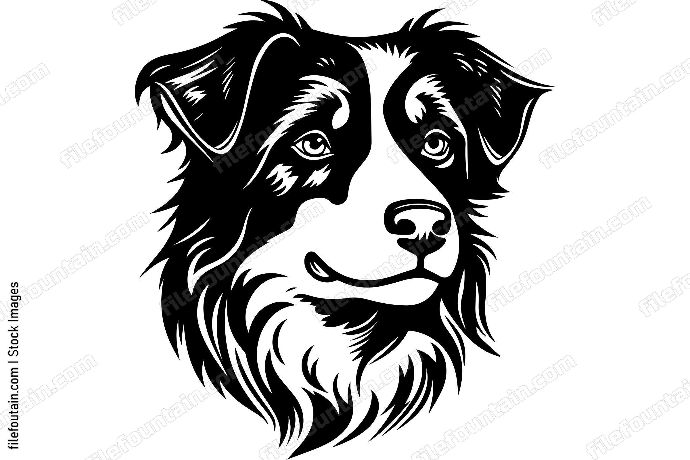 Australian Cattle Dog