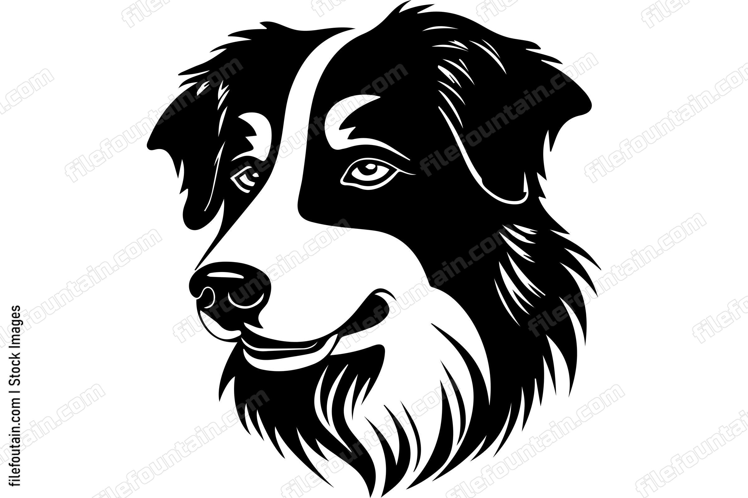Australian Cattle Dog