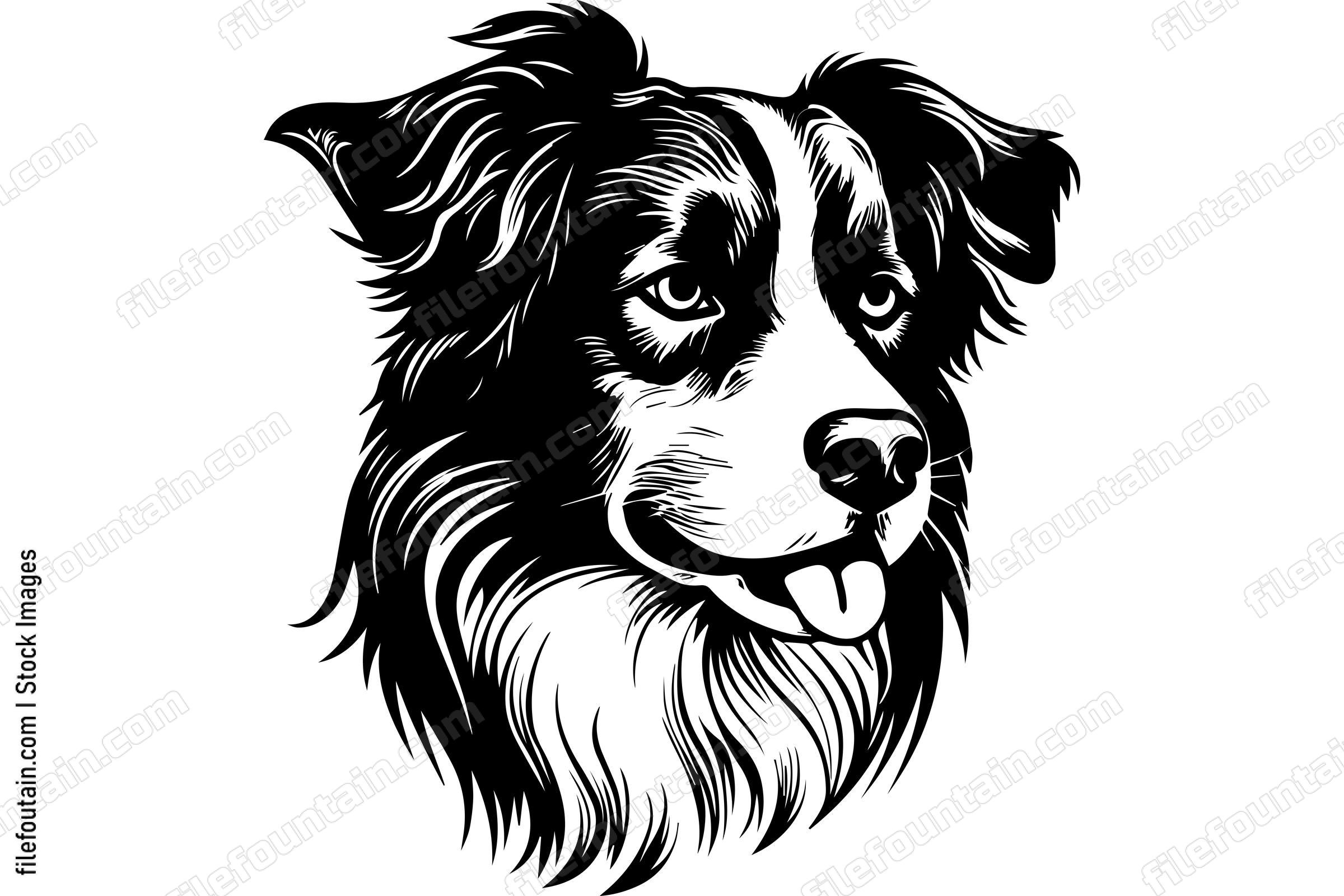 Australian Cattle Dog