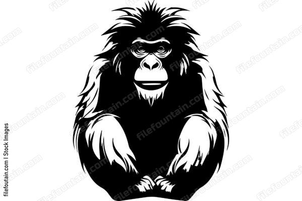 Baboon