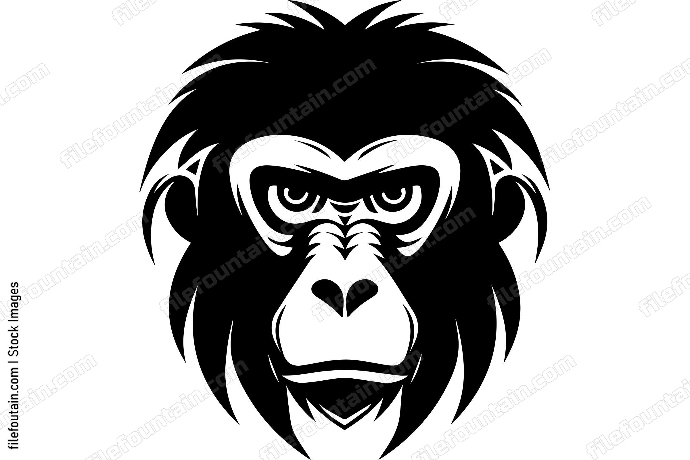 Baboon
