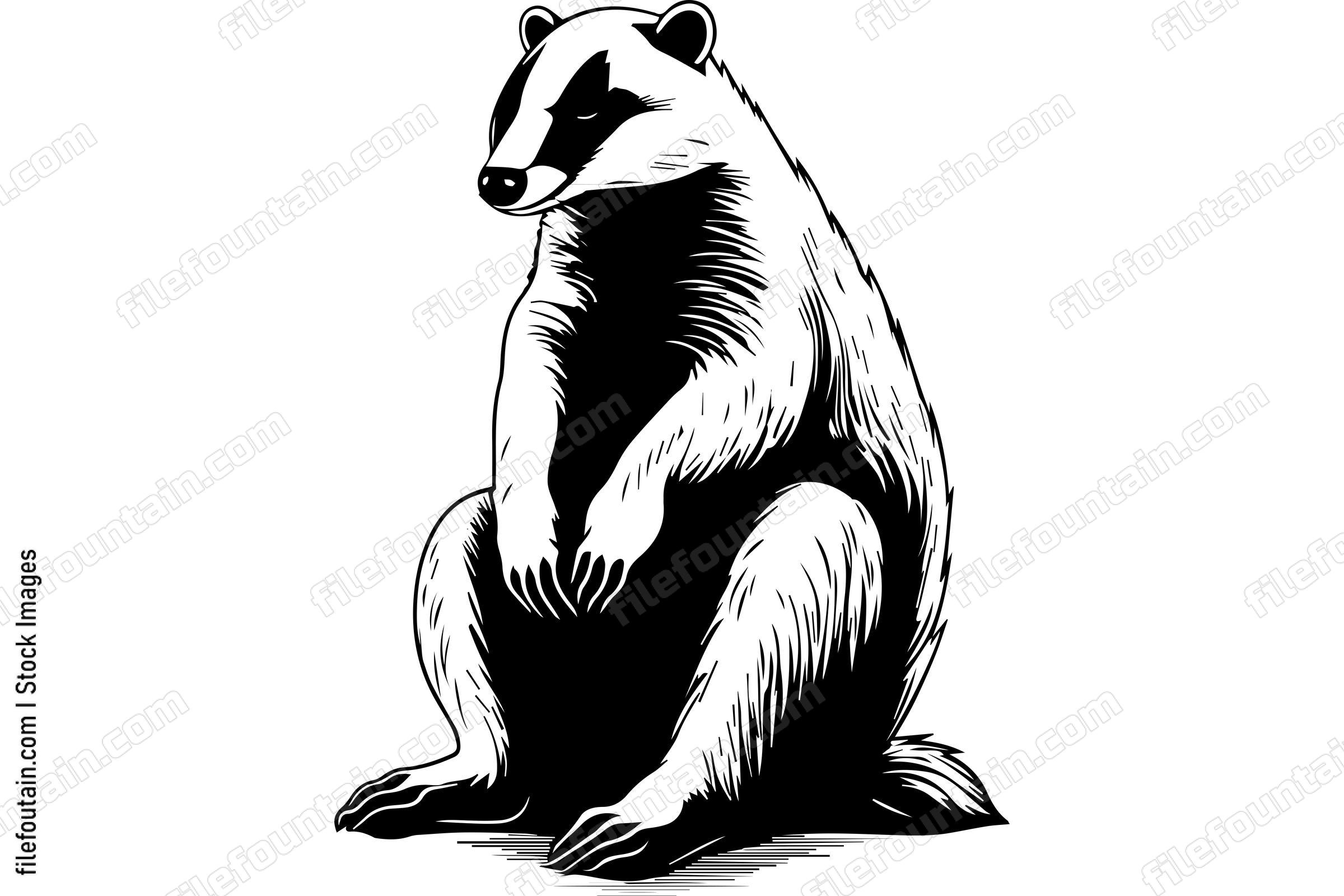 Badger
