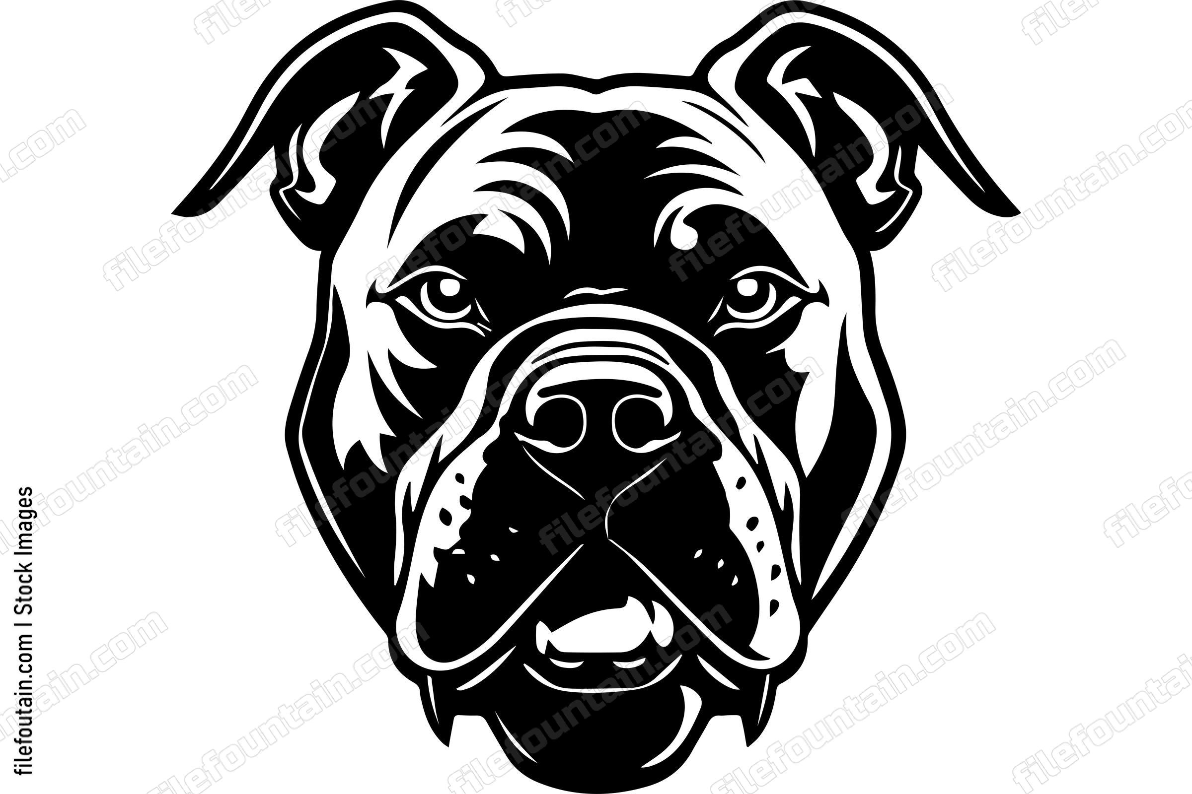 Barking American Pit Bull Terrier