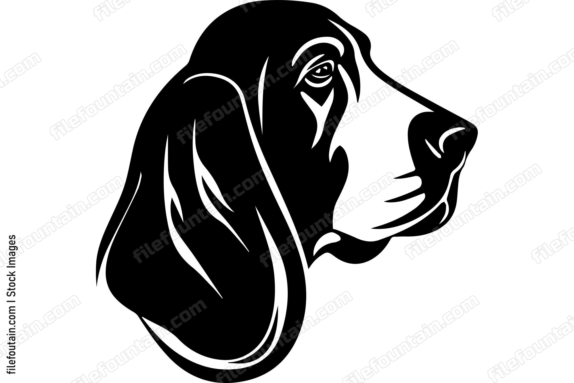 Basset Hound