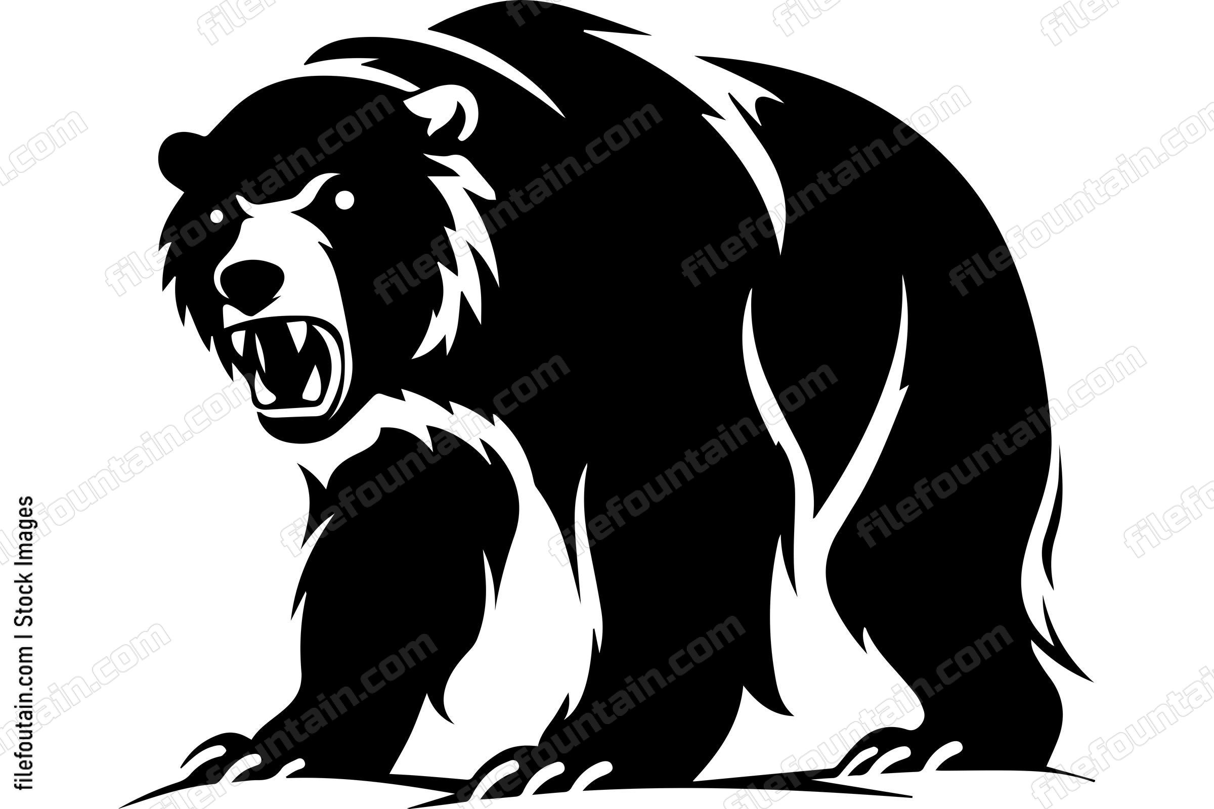 Bear