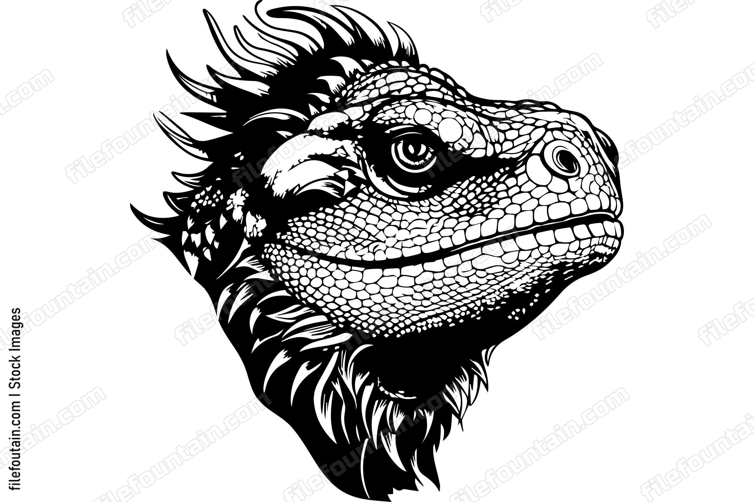 Bearded Dragon