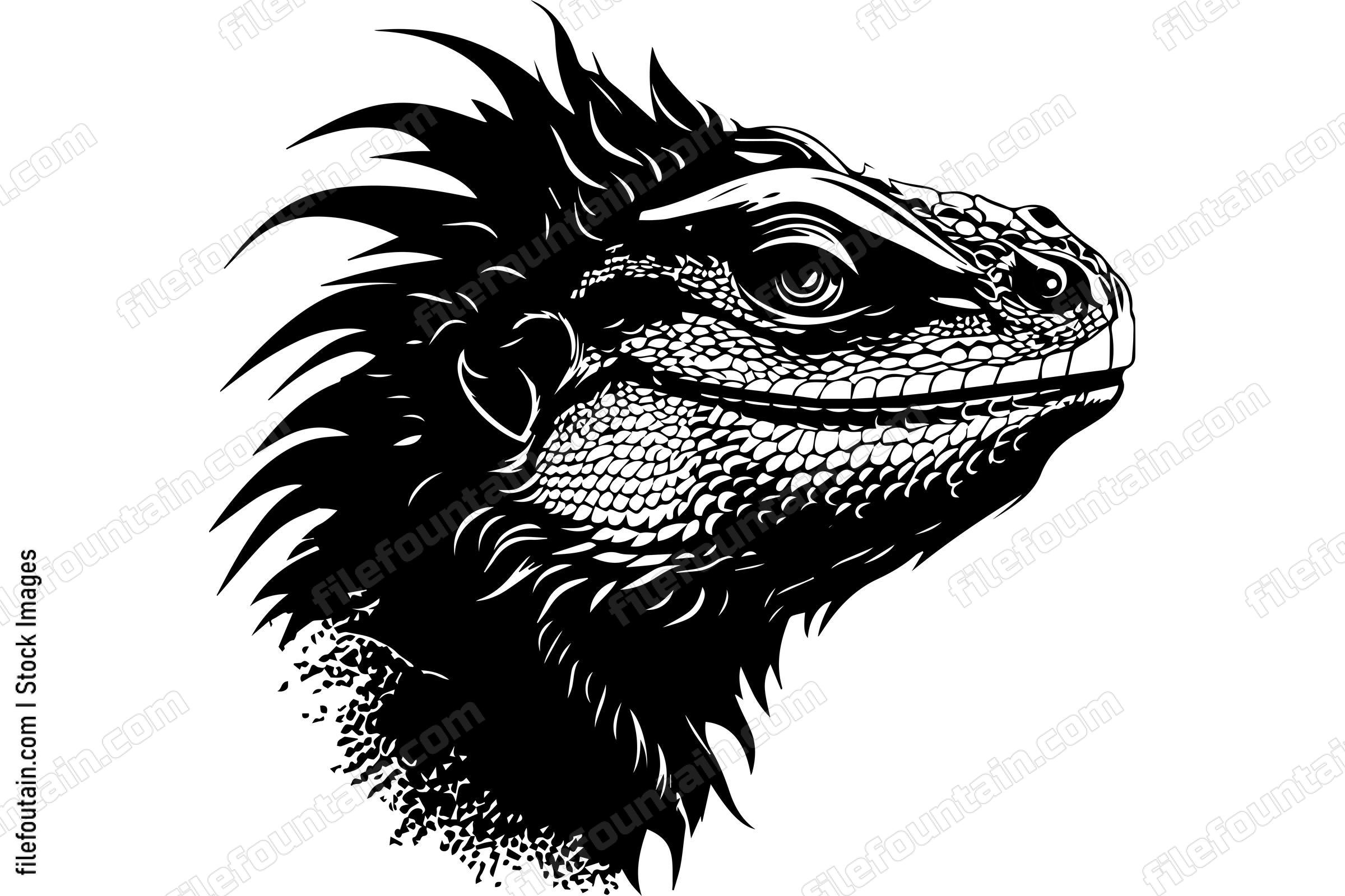 Bearded Dragon
