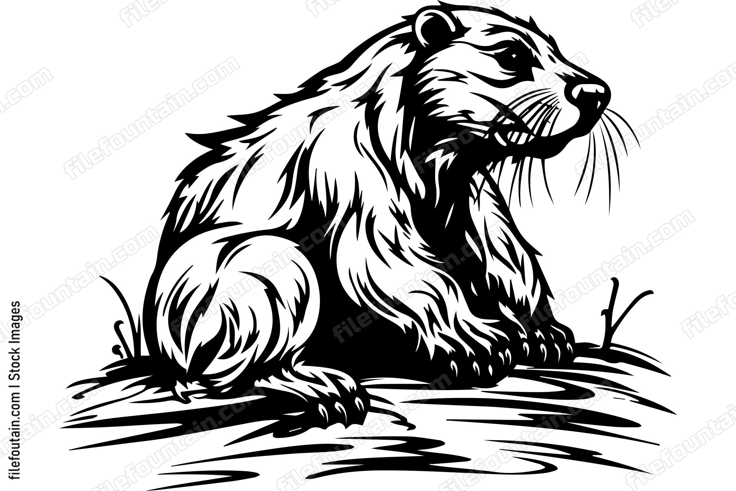 Beaver