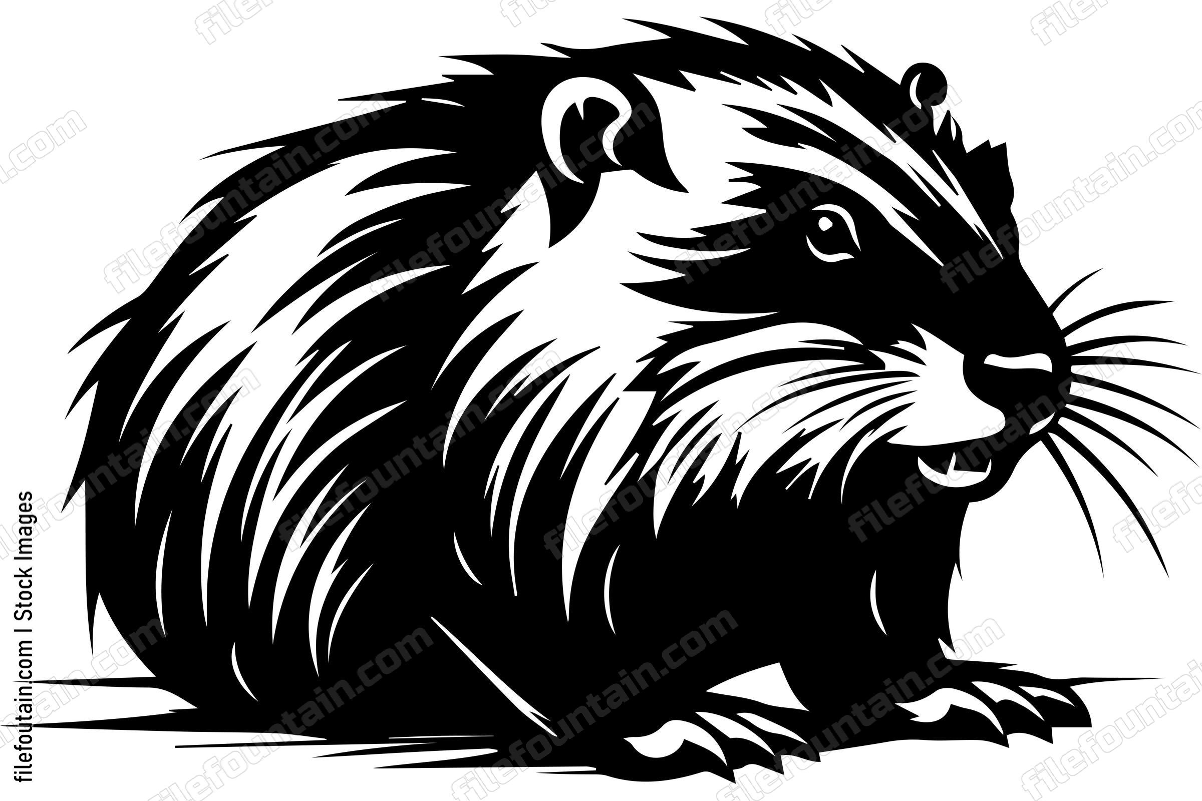 Beaver