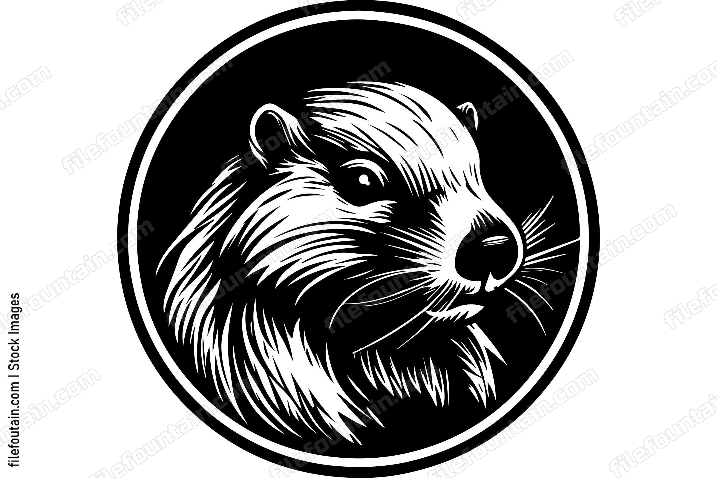 Beaver