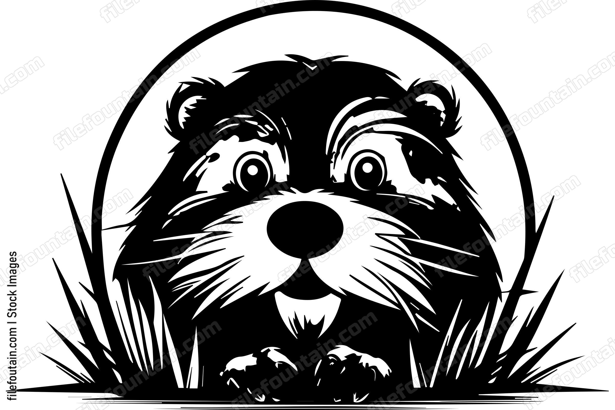 Beaver