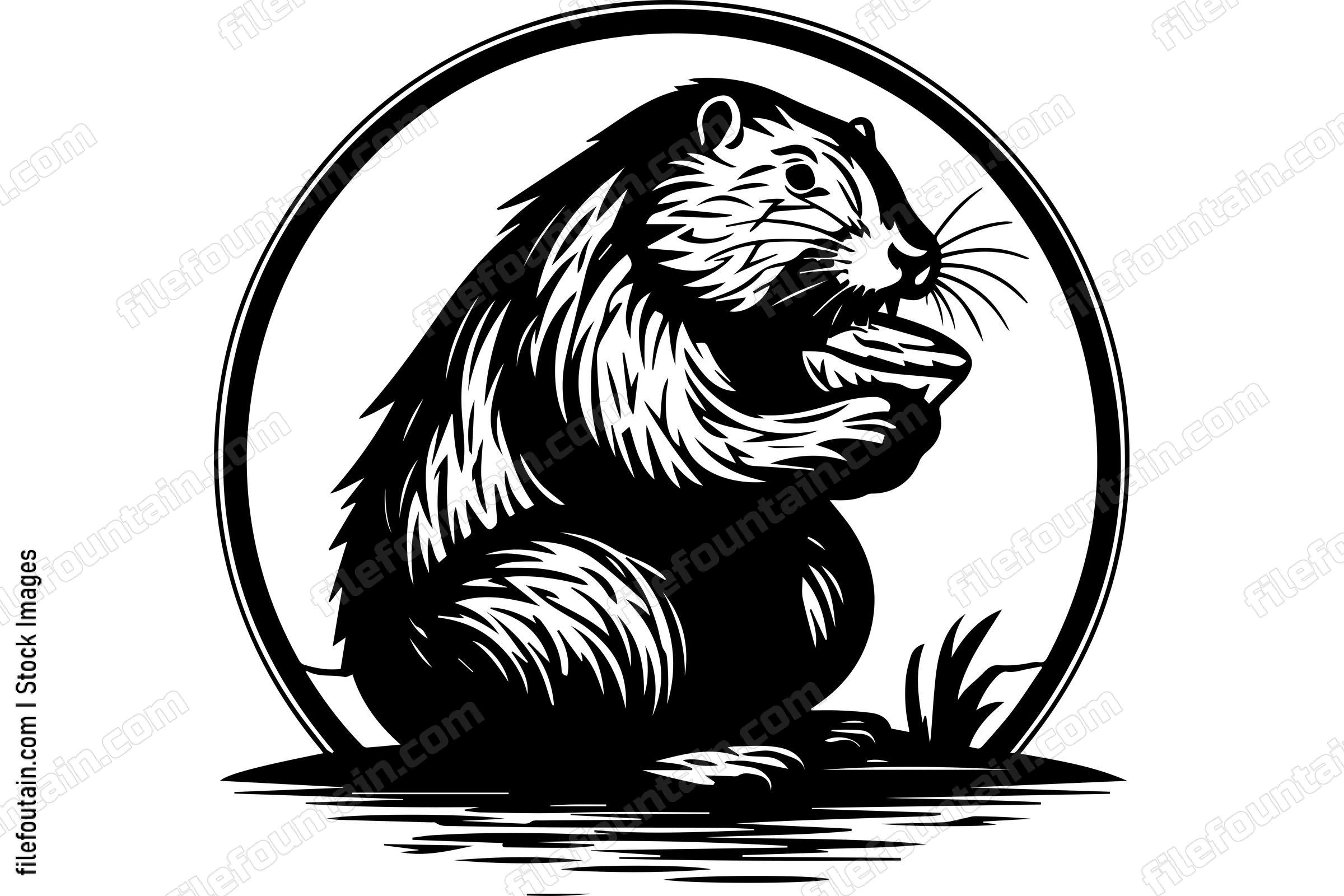 Beaver
