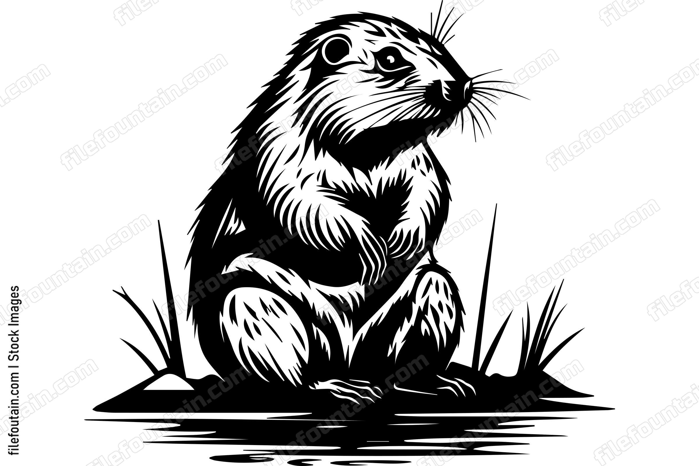 Beaver