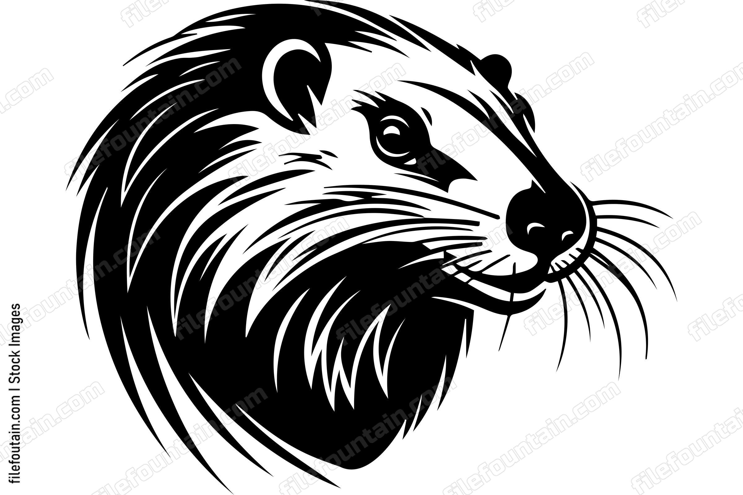 Beaver