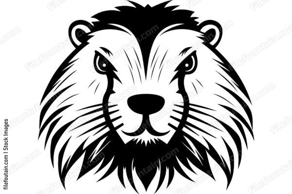 Beaver