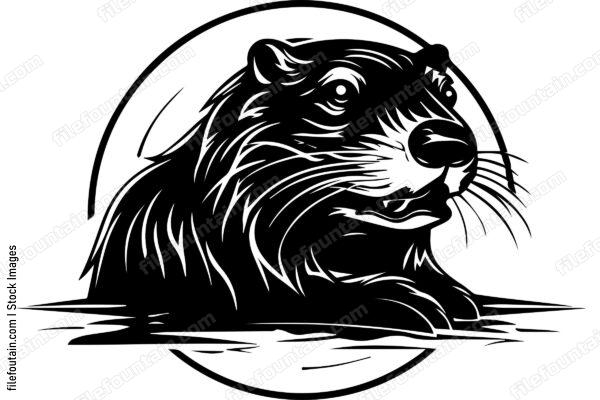 Beaver