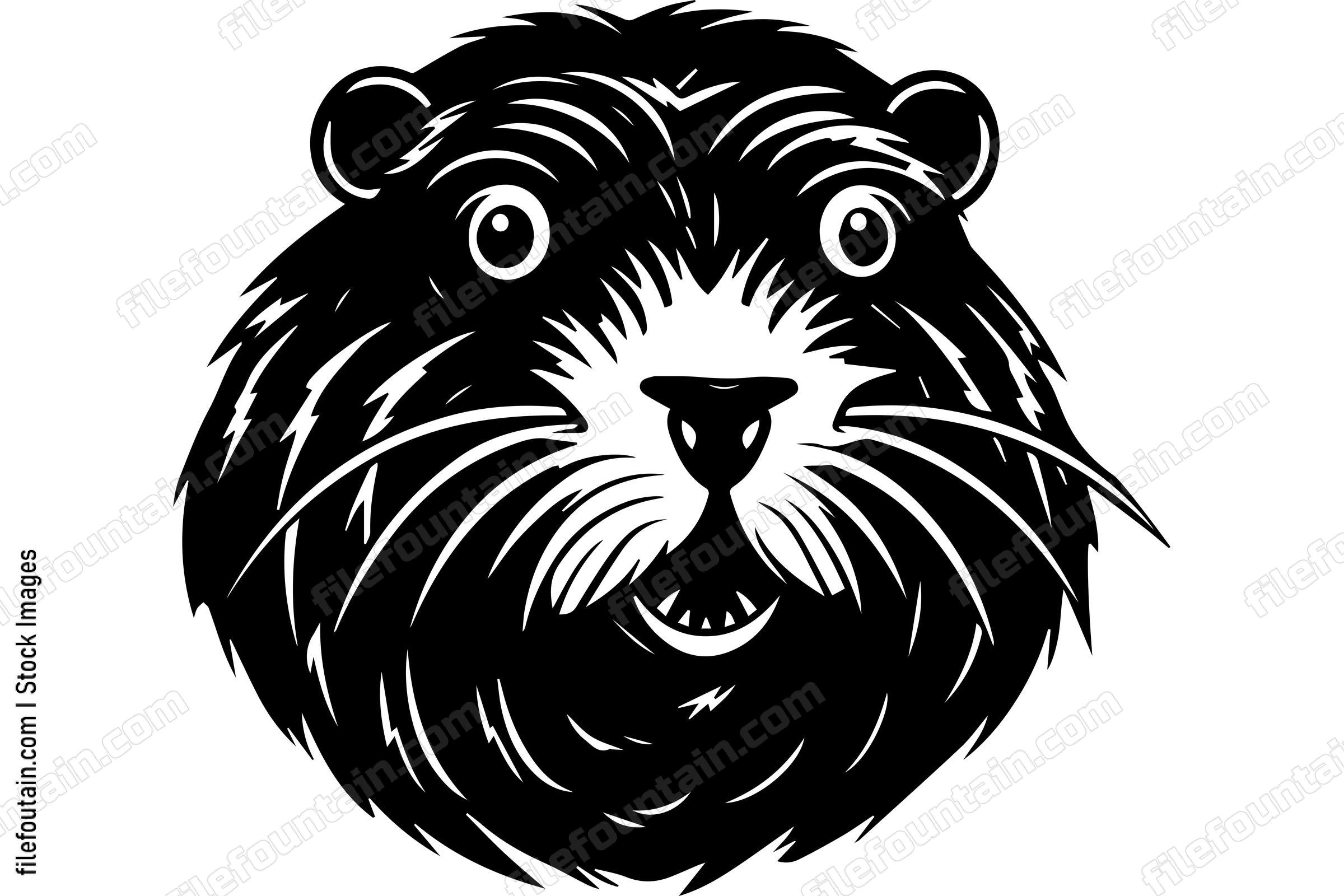 Beaver