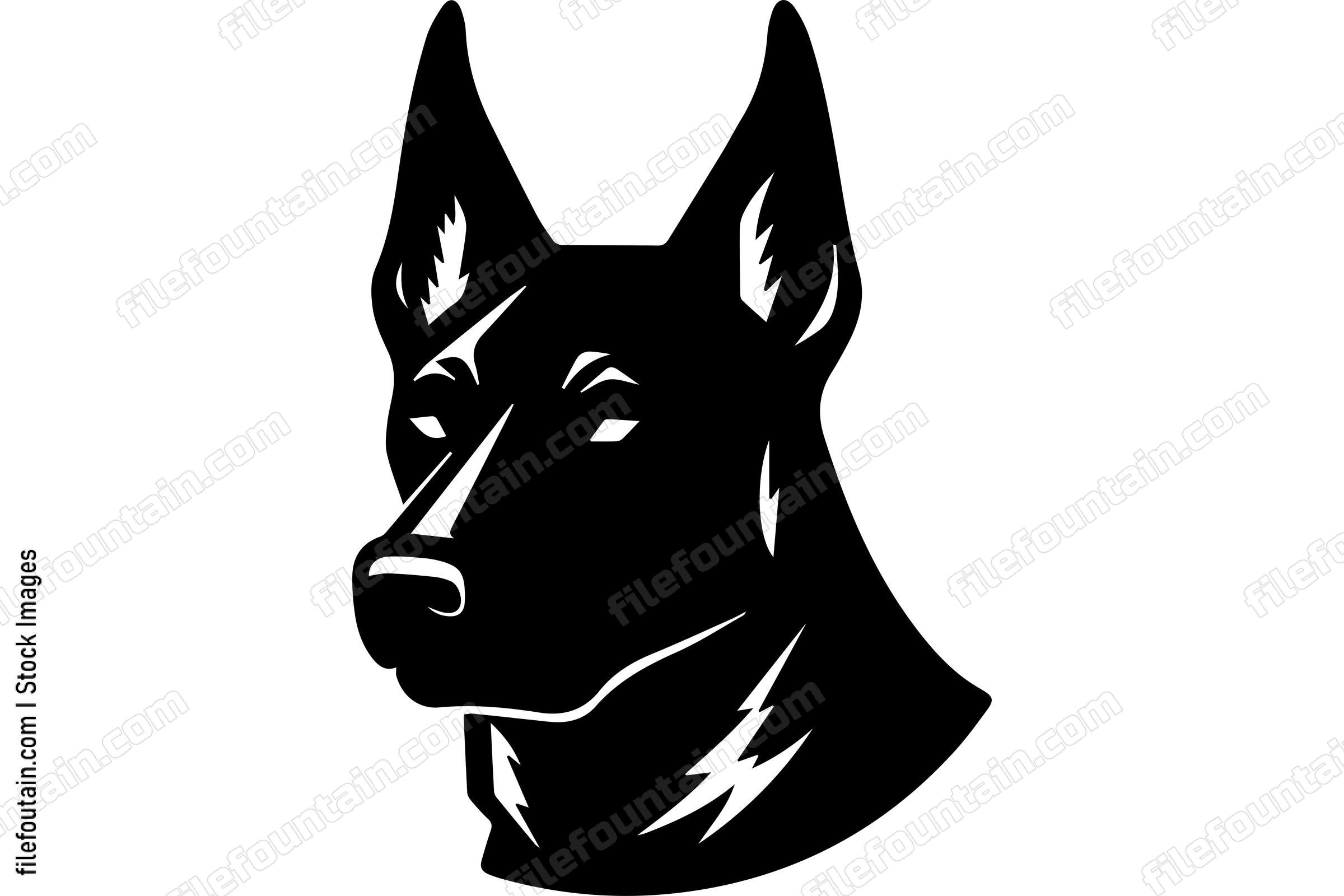 Belgian Malinois