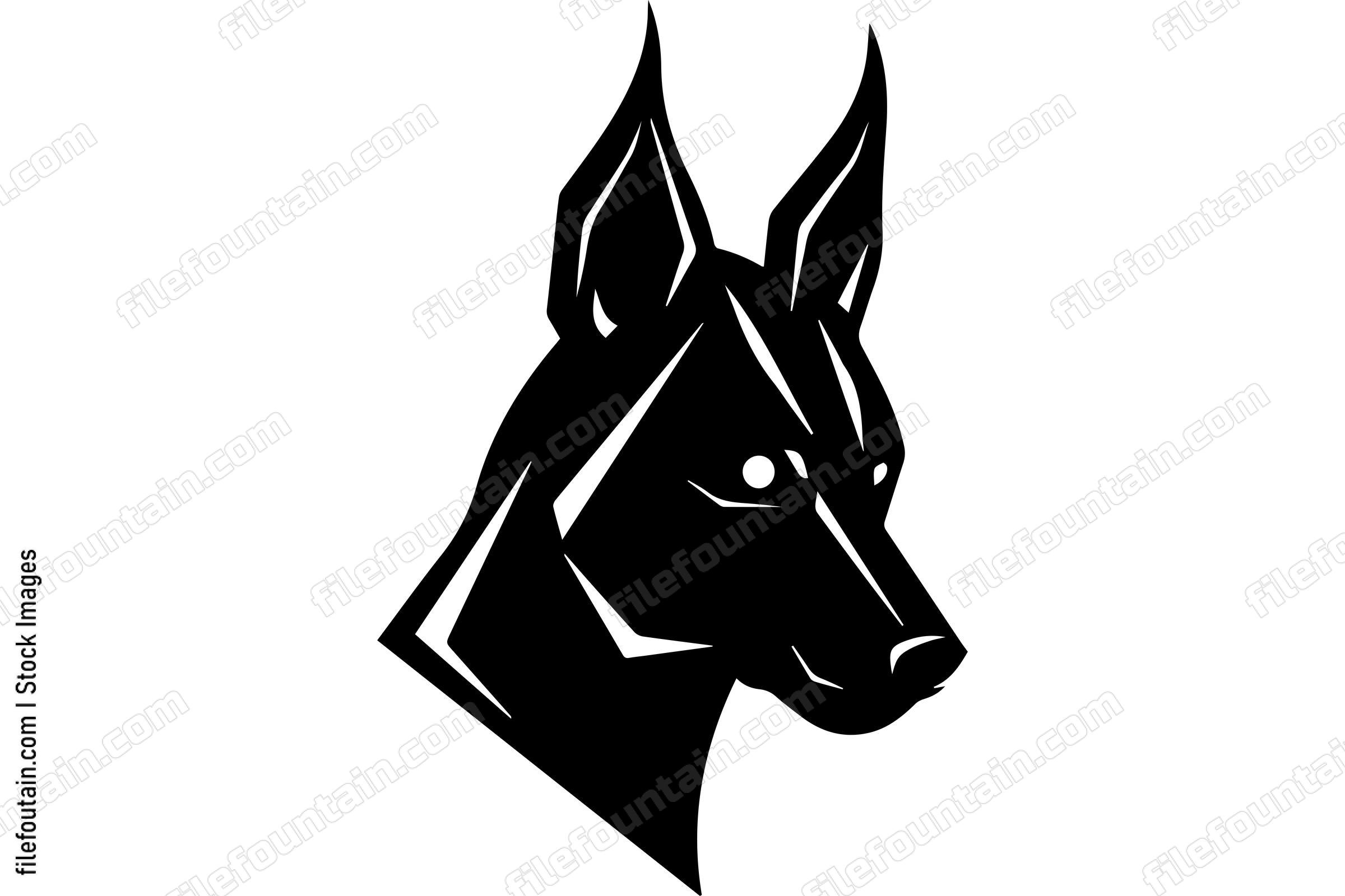 Belgian Malinois