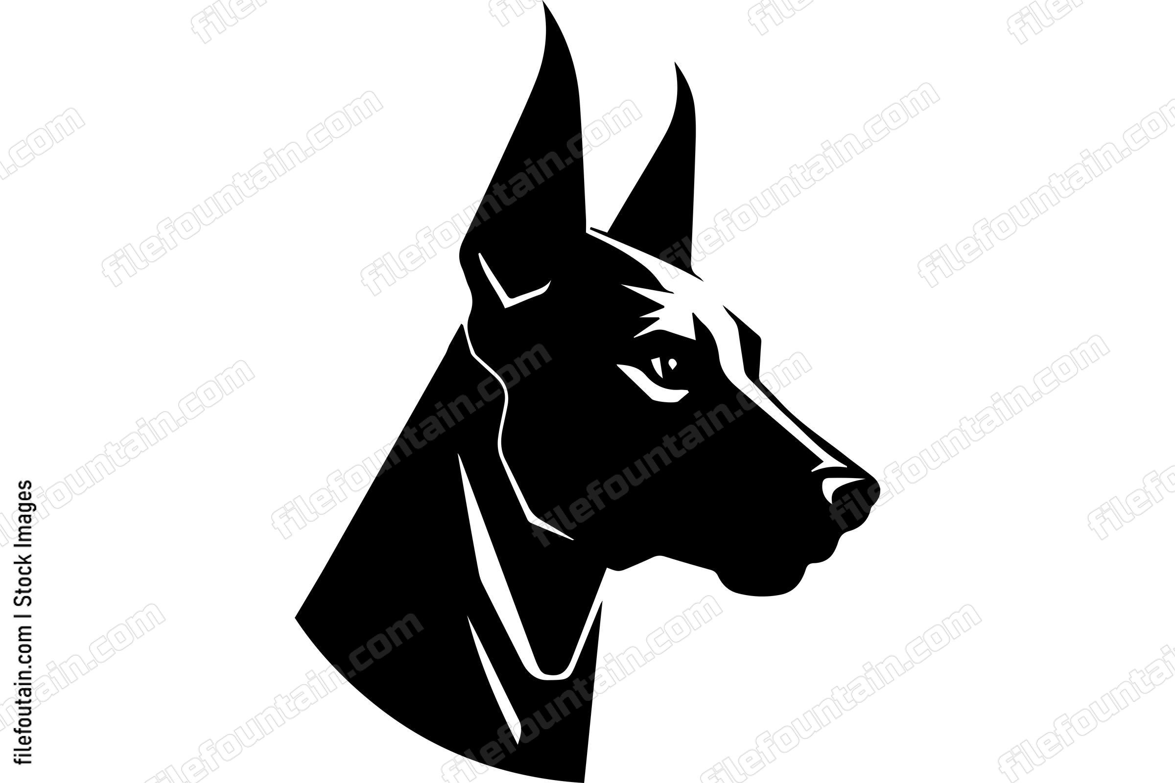 Belgian Malinois