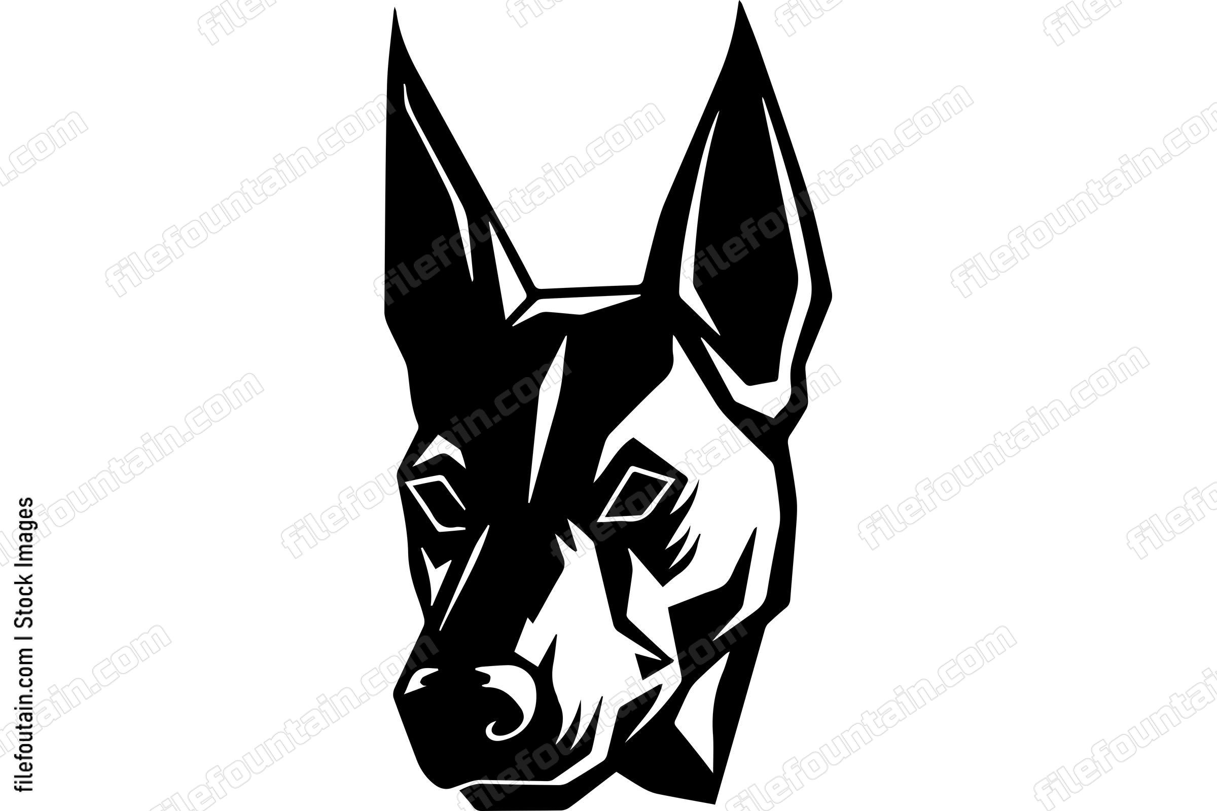 Belgian Malinois