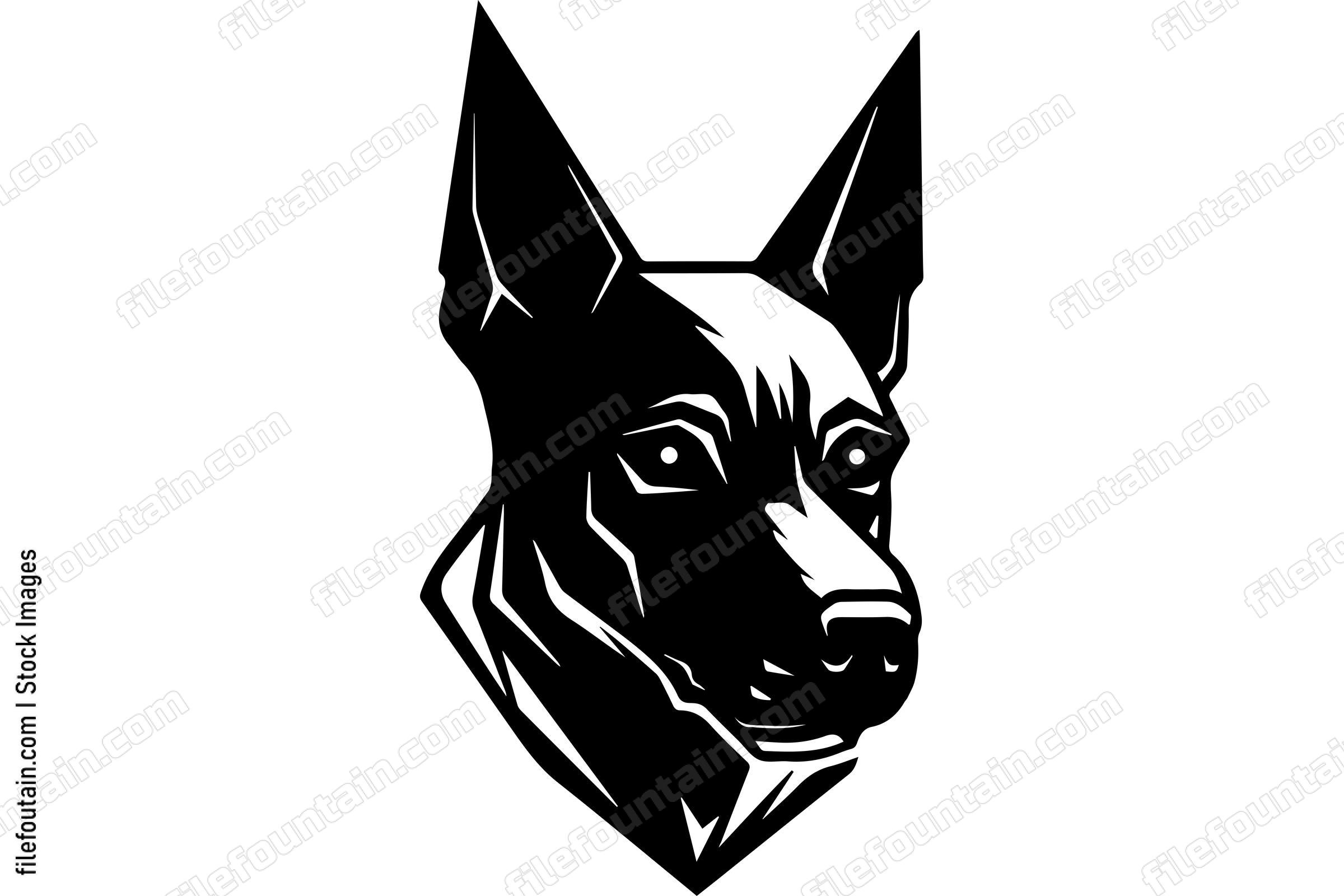 Belgian Malinois