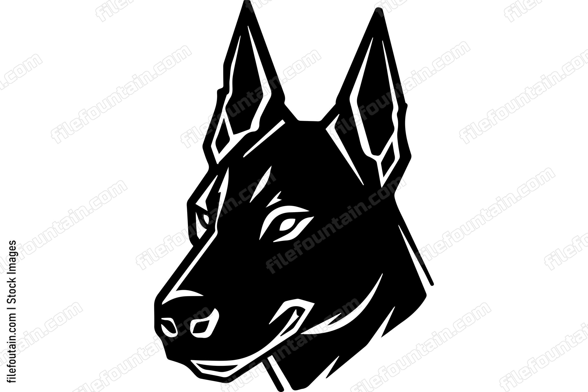 Belgian Malinois