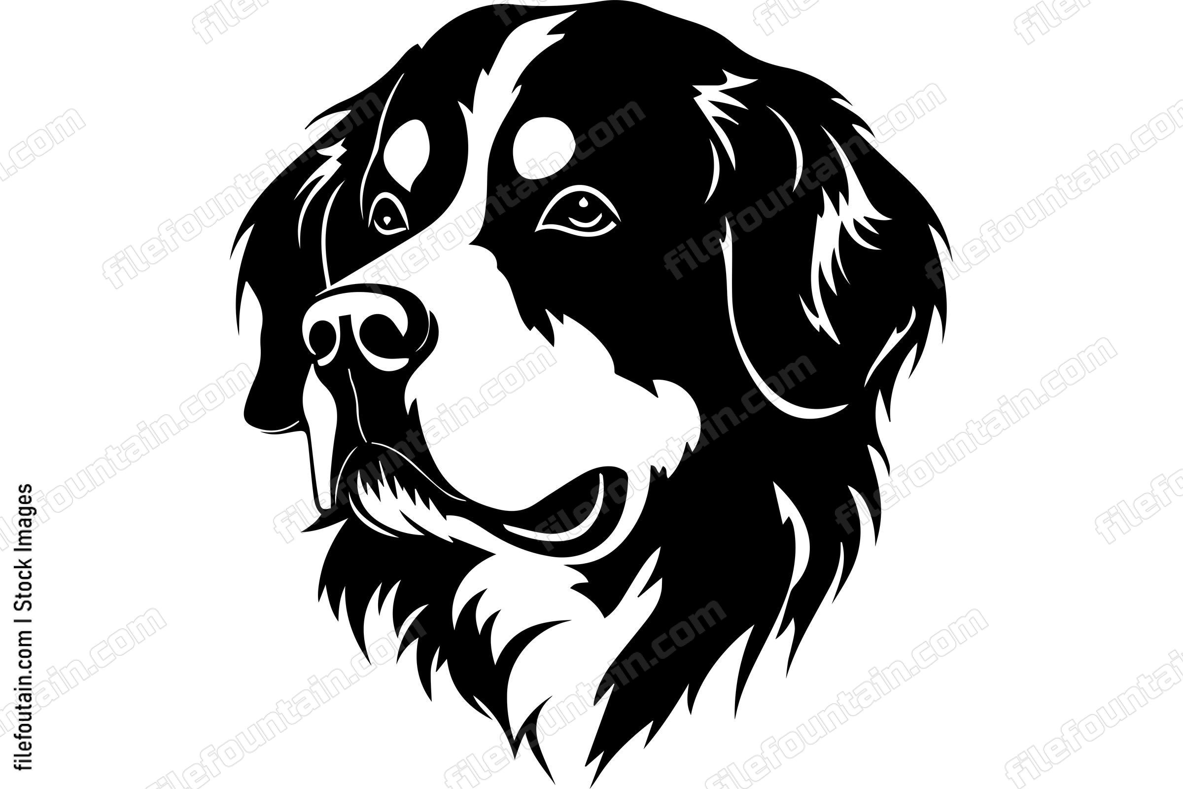 Bernese Mountain Dog