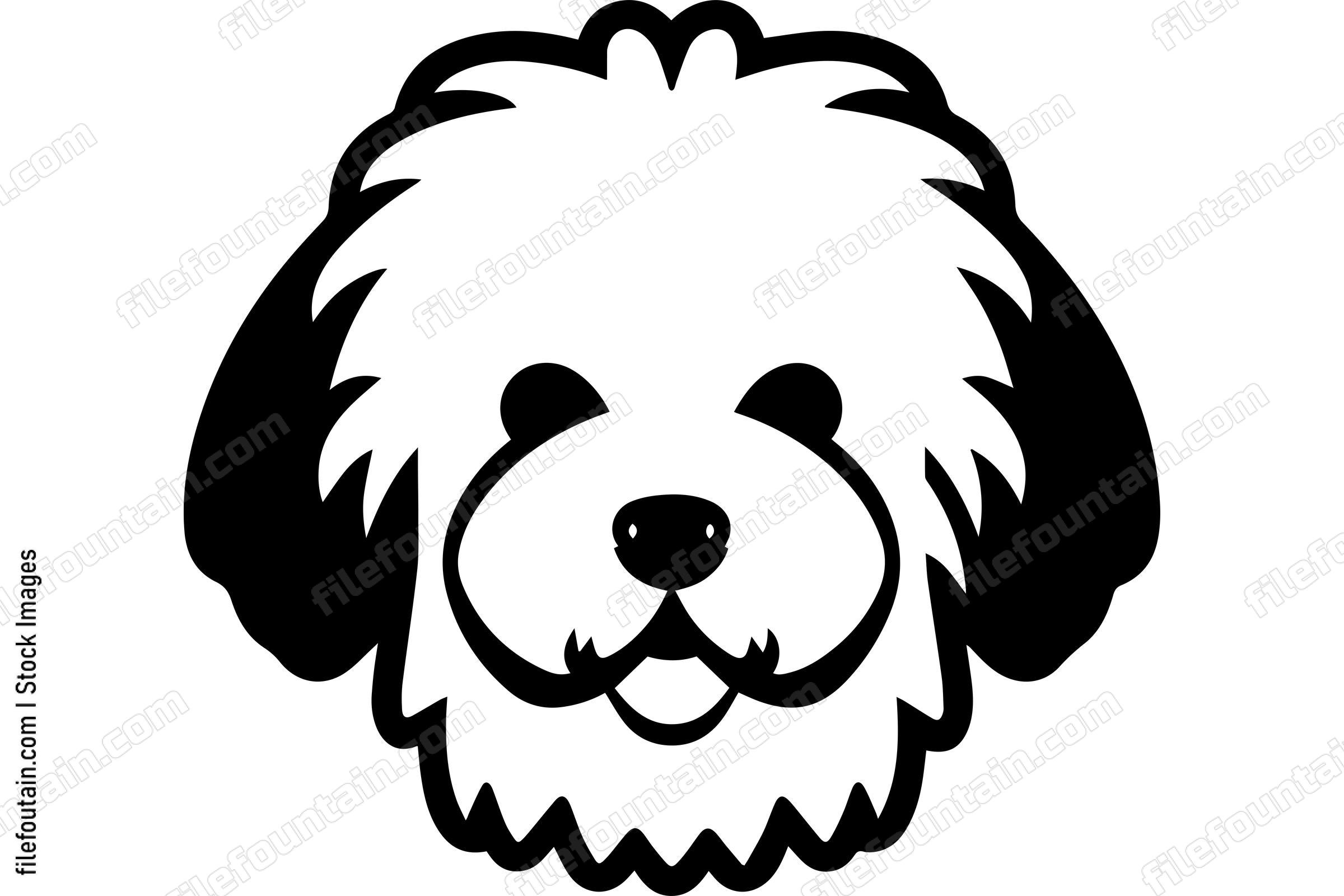 Bichon Frise
