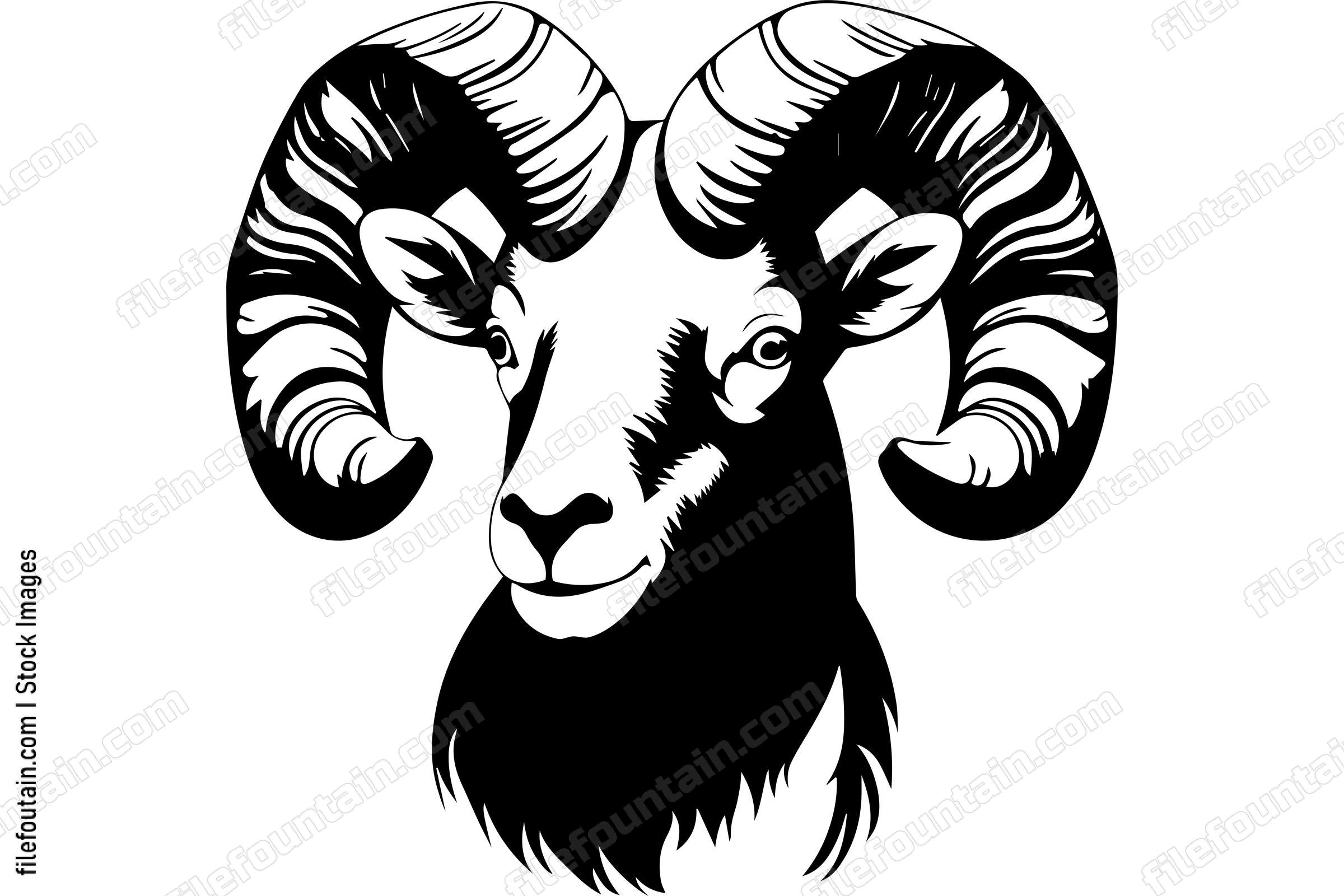 Bighorn Sheep