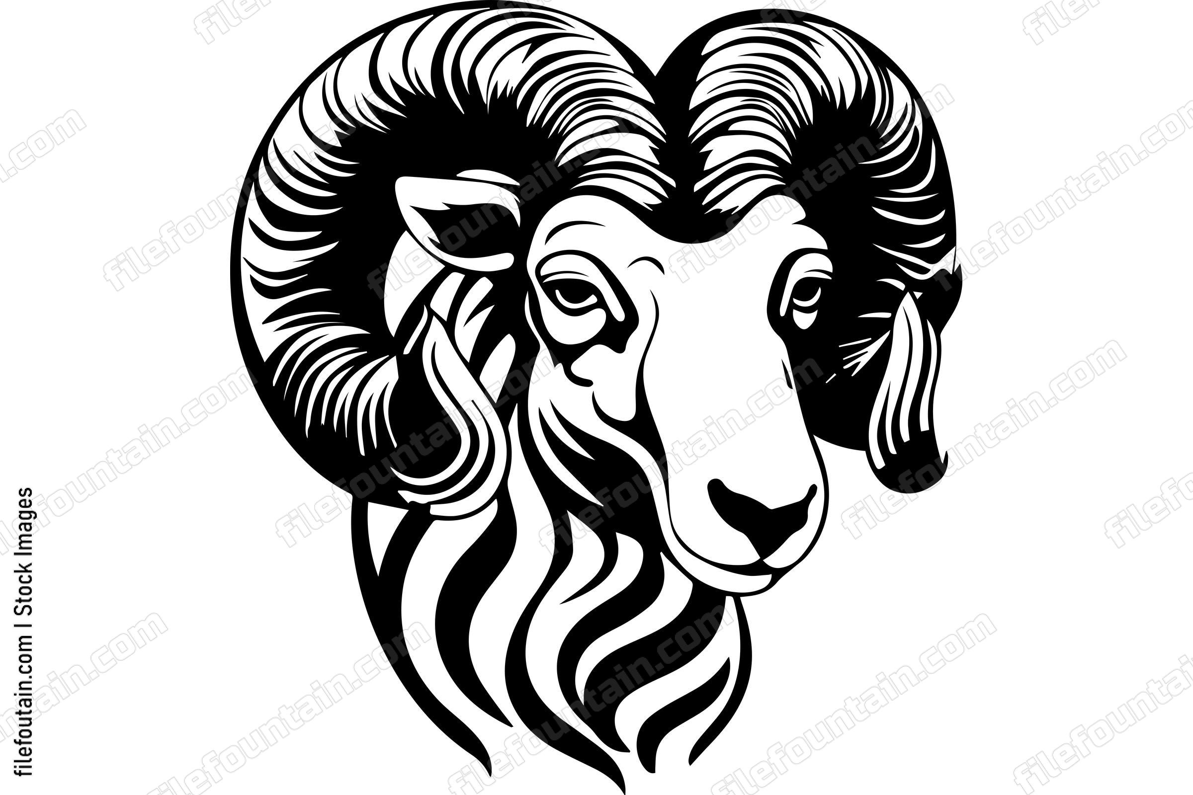 Bighorn Sheep
