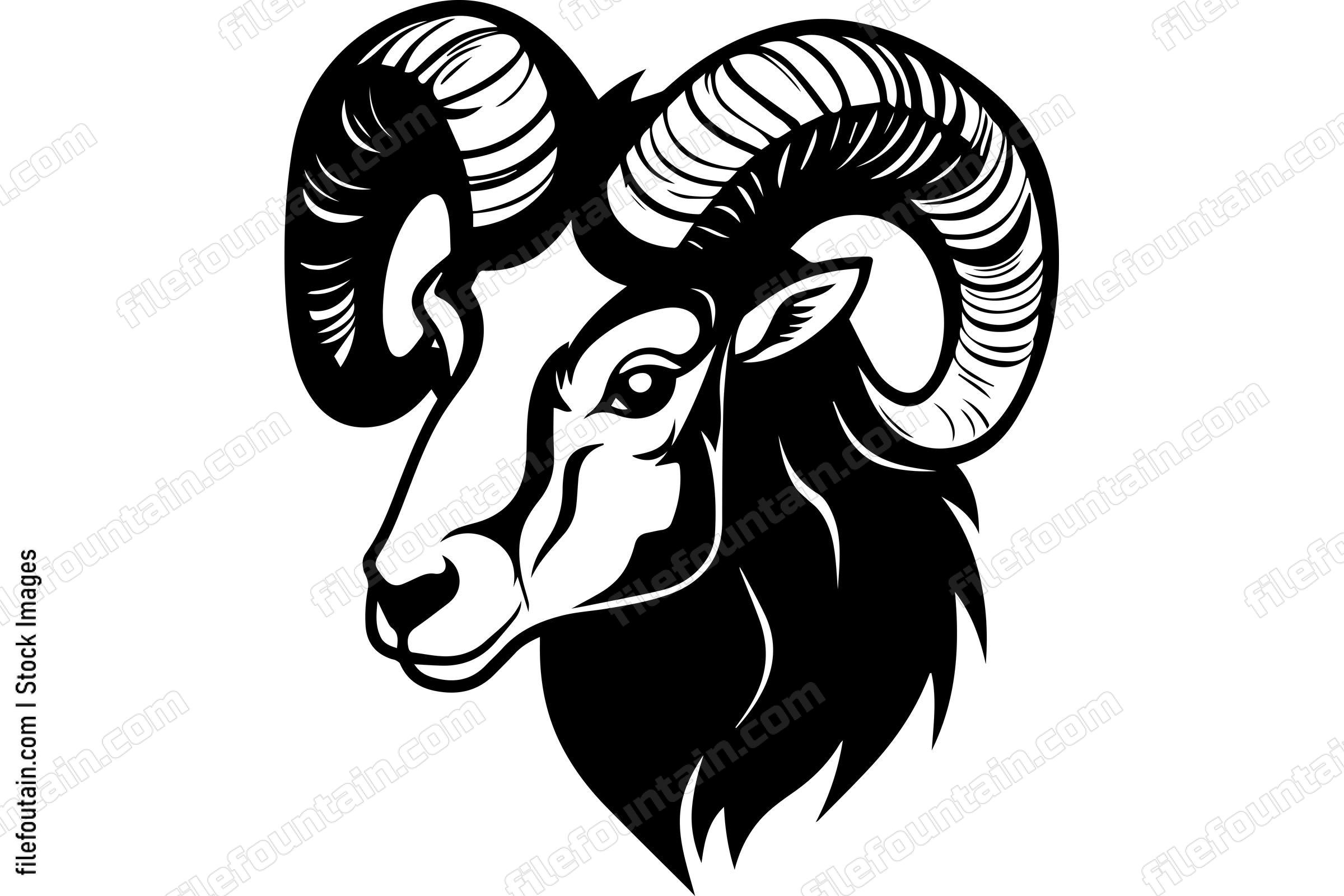 Bighorn Sheep