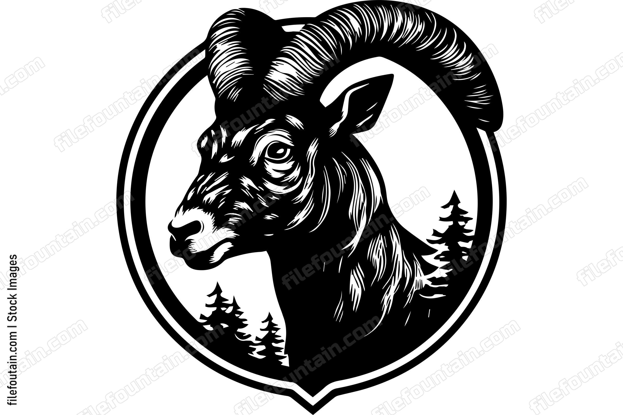 Bighorn Sheep