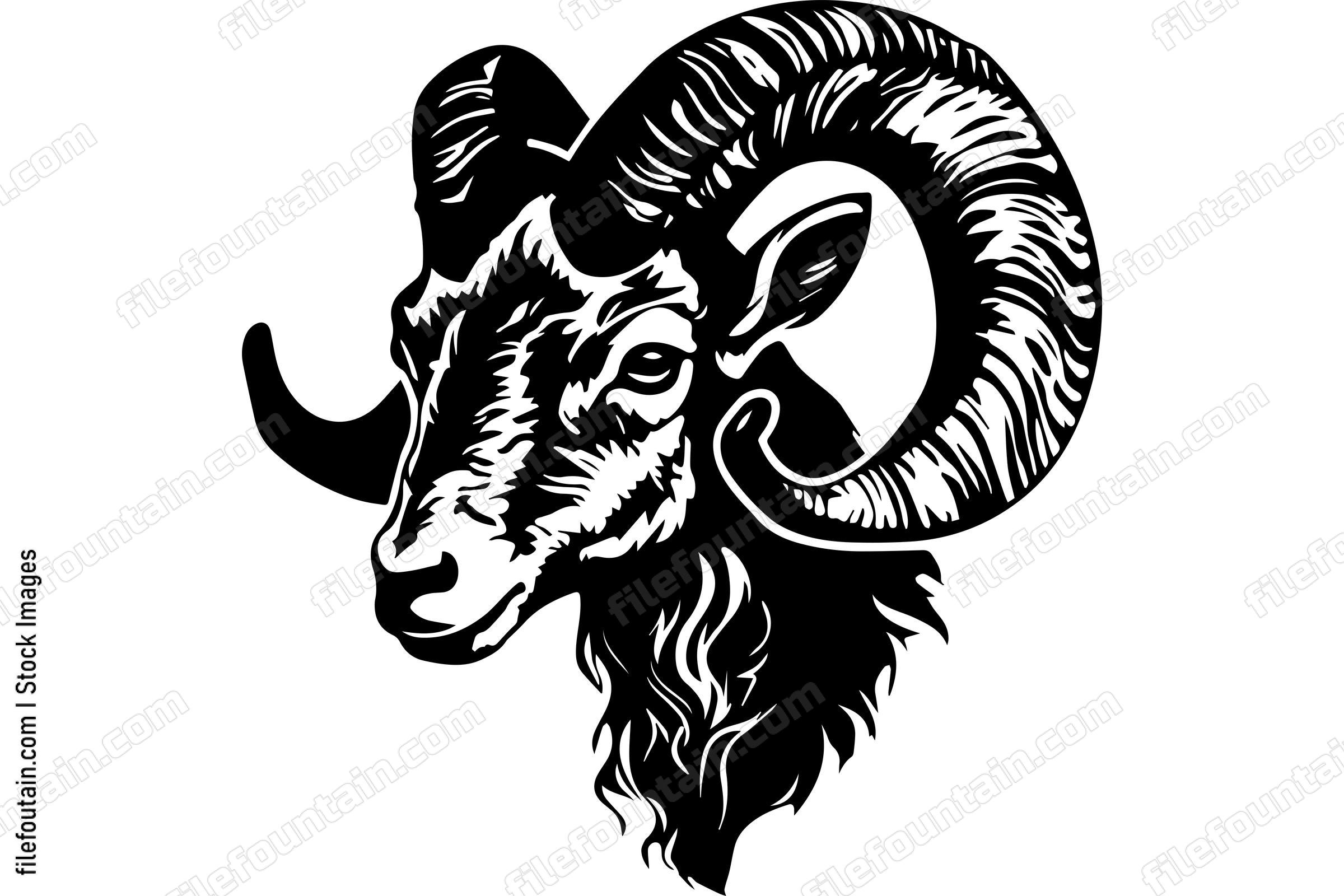 Bighorn Sheep