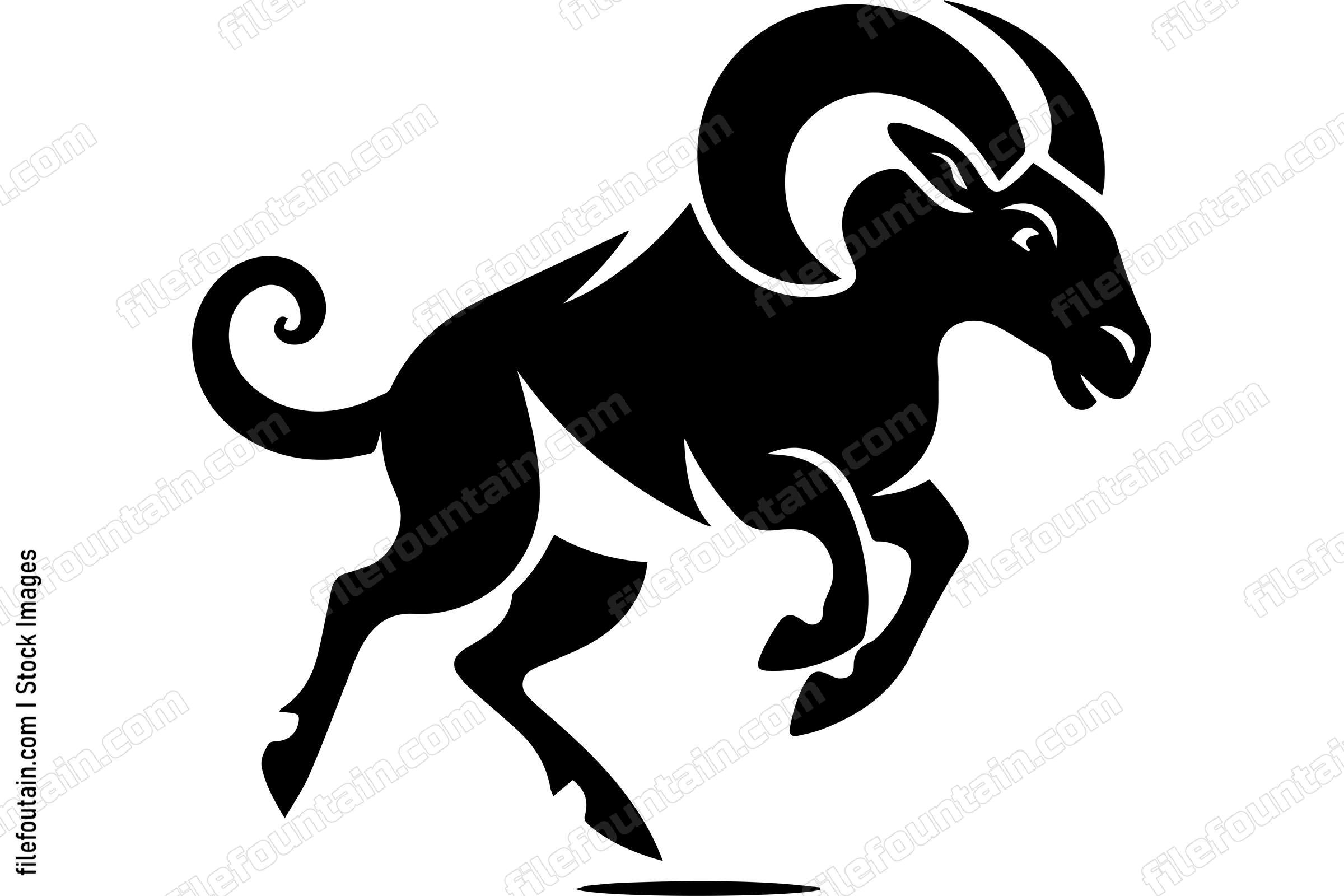 Bighorn Sheep