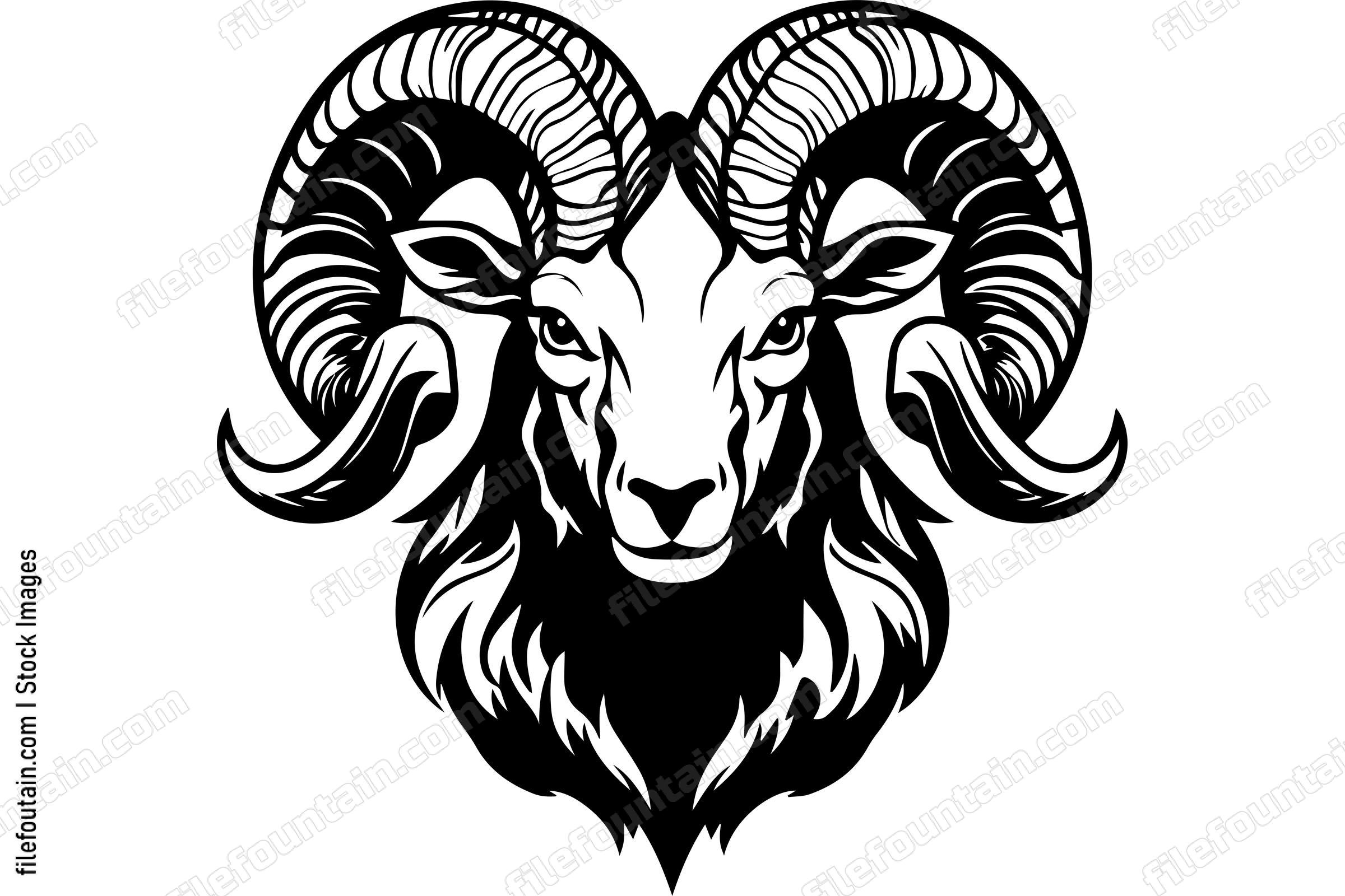 Bighorn Sheep