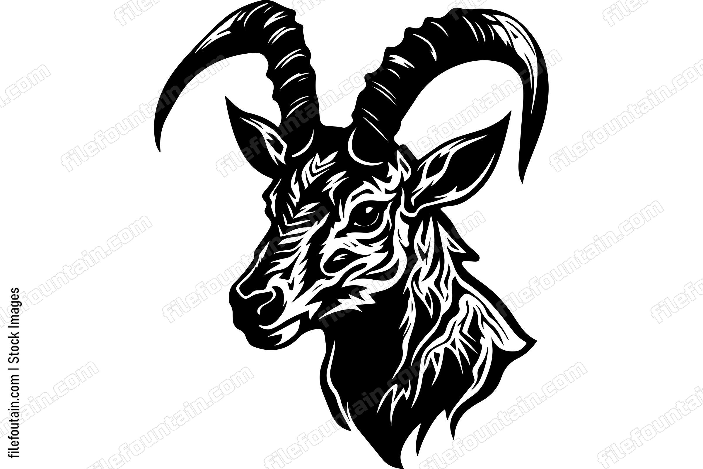 Bighorn Sheep
