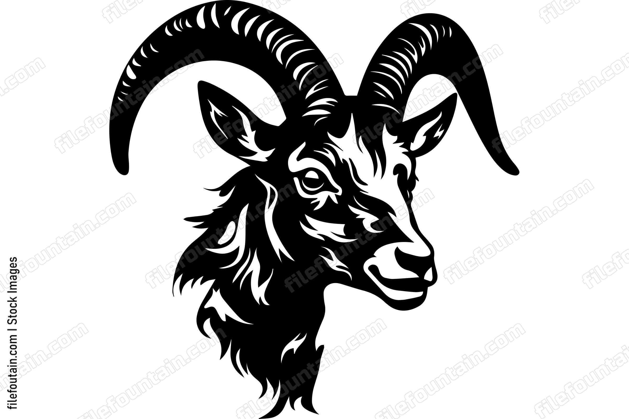 Bighorn Sheep