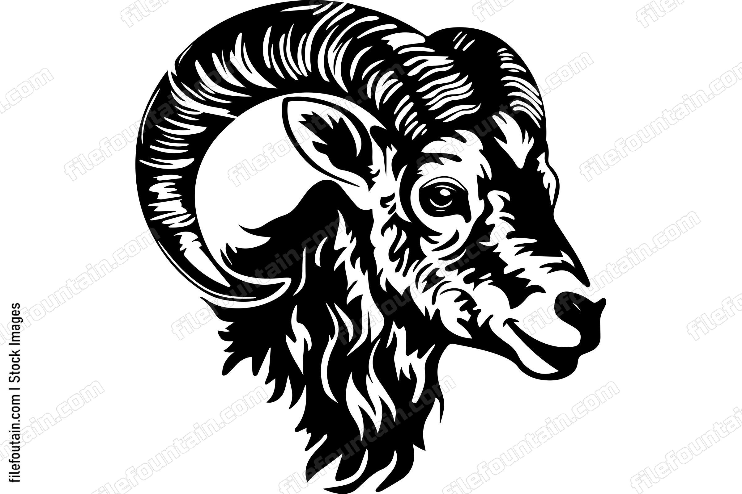 Bighorn Sheep