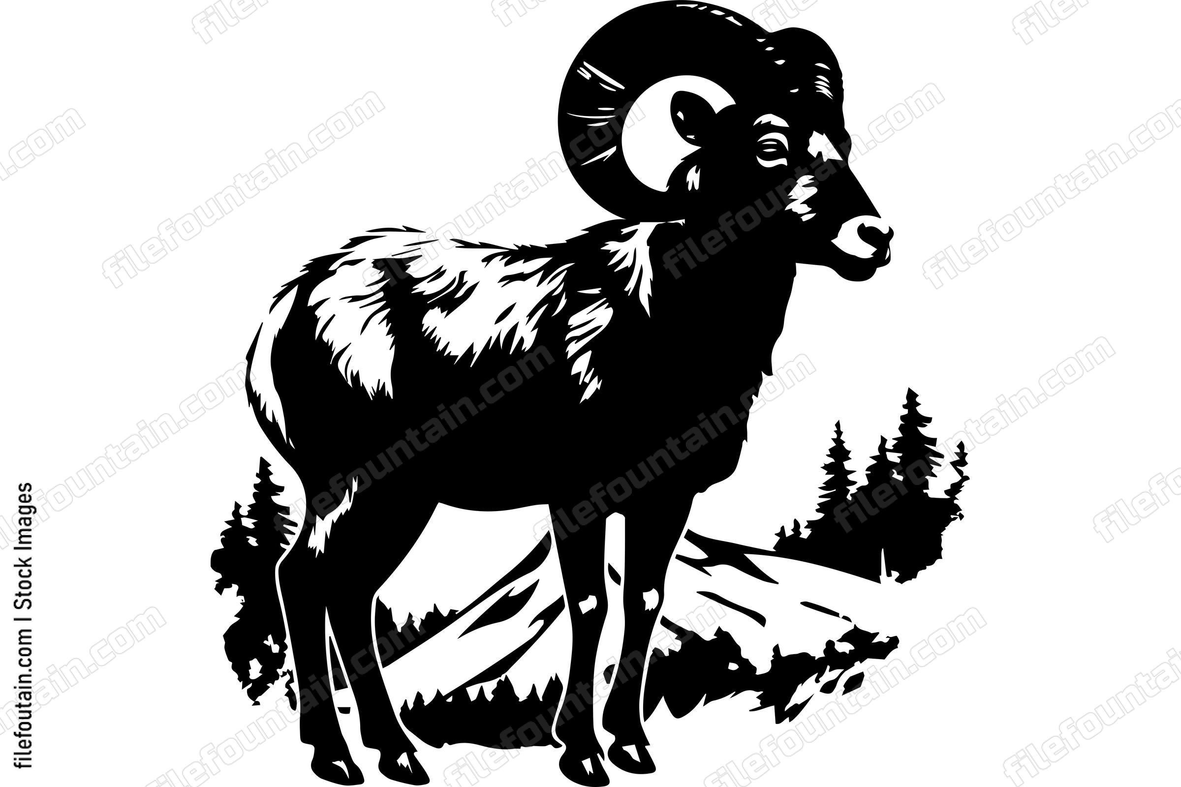 Bighorn Sheep