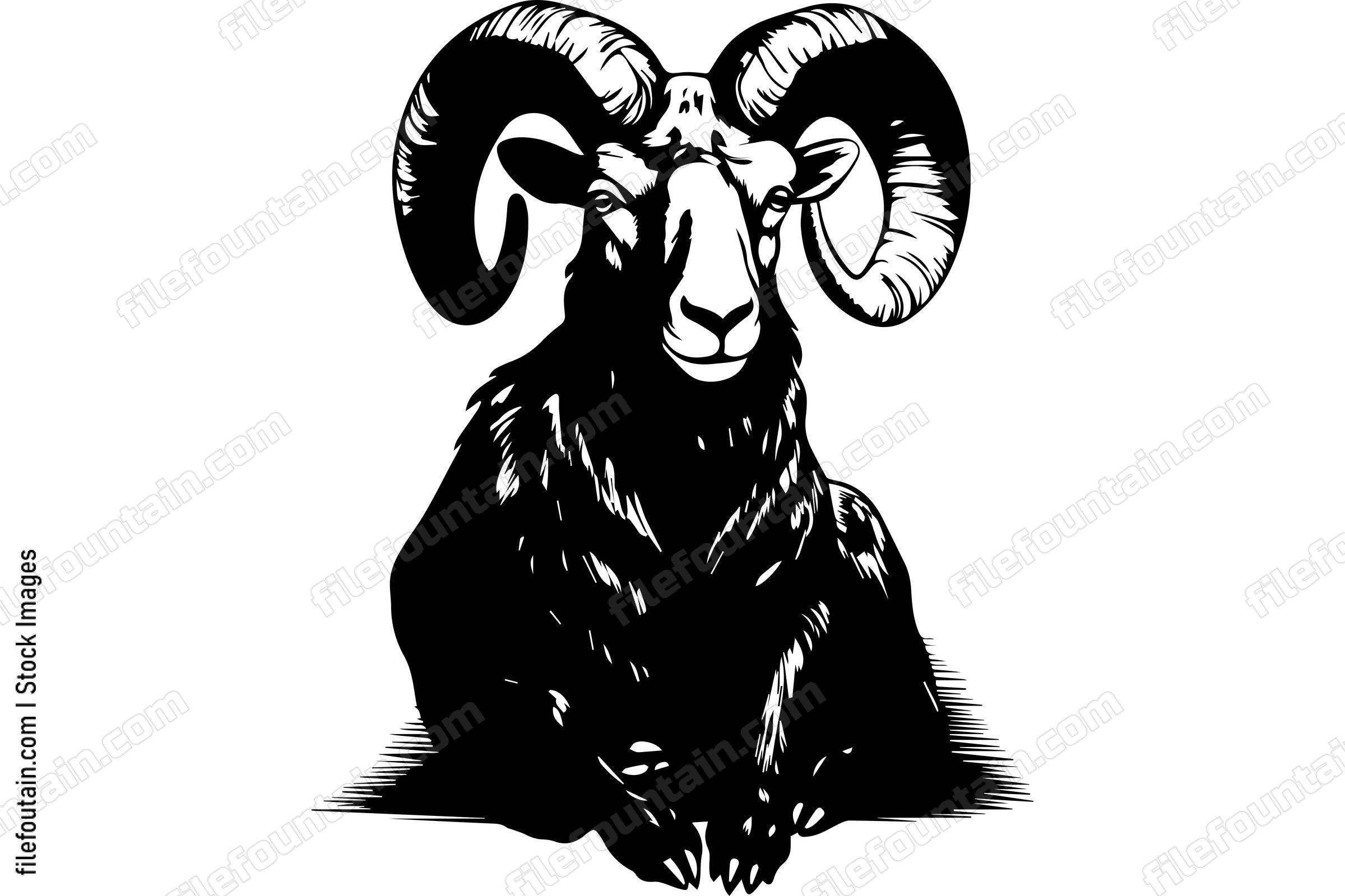 Bighorn Sheep