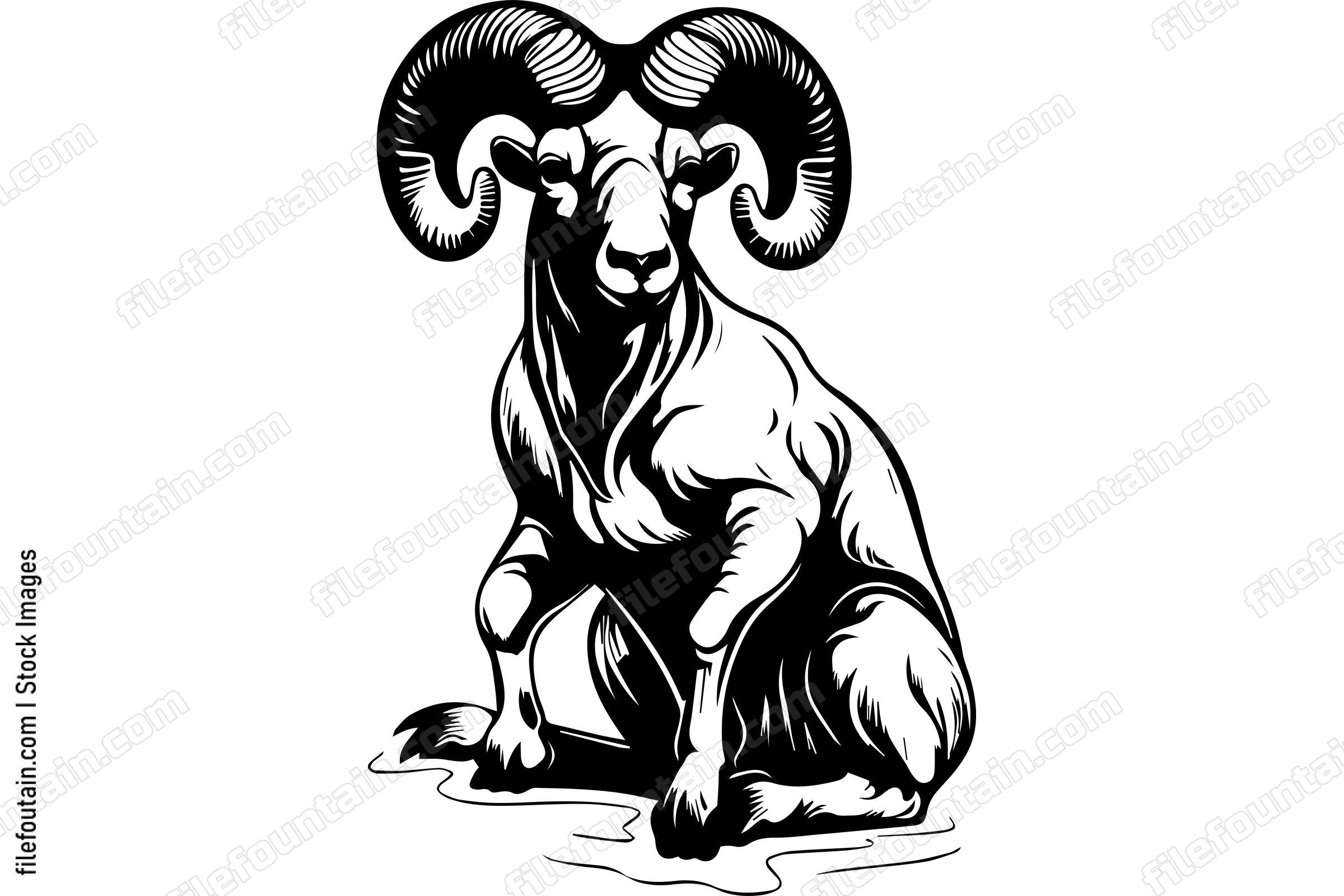 Bighorn Sheep