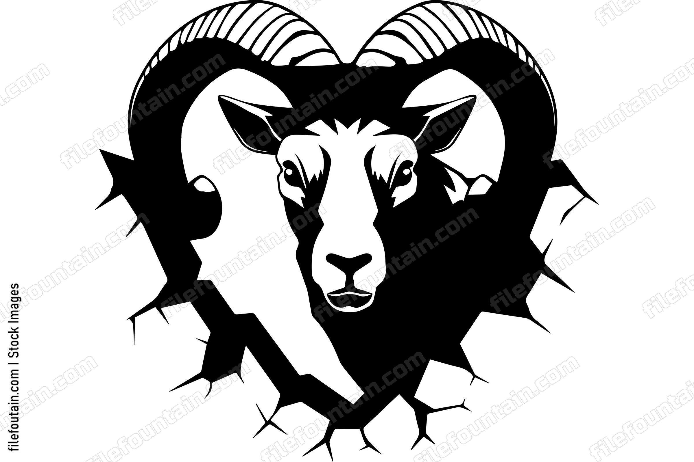 Bighorn Sheep Breaking Through A Wall