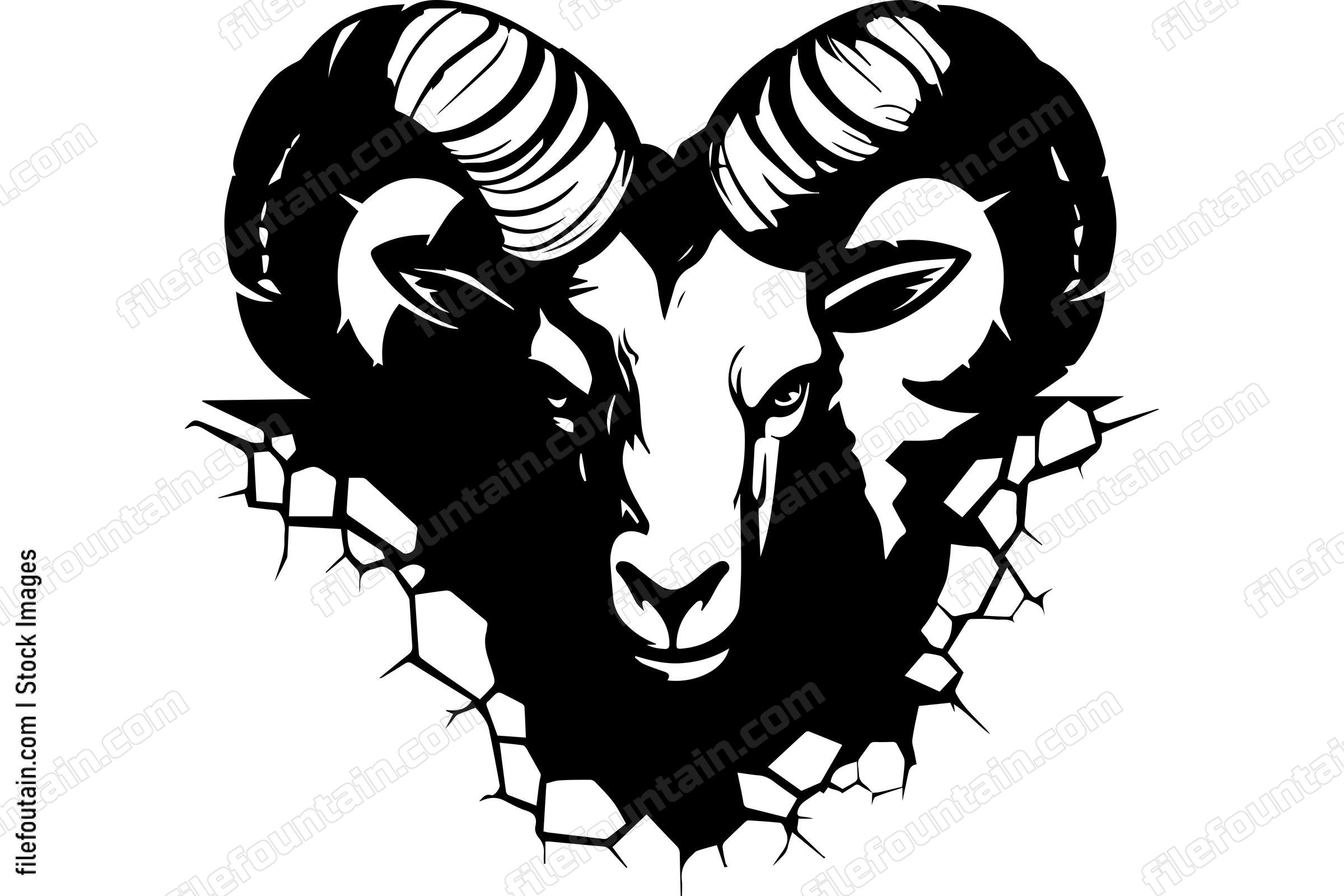 Bighorn Sheep Breaking Through A Wall
