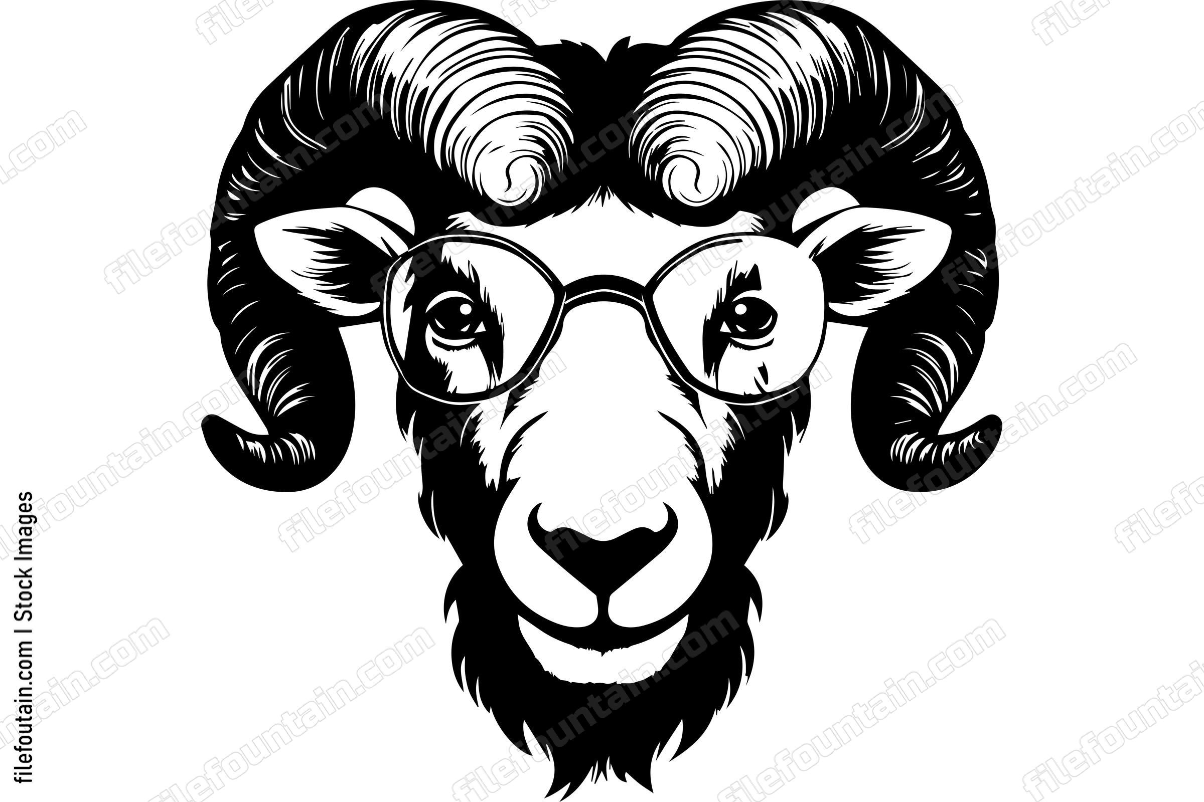 Bighorn Sheep In Sunglasses