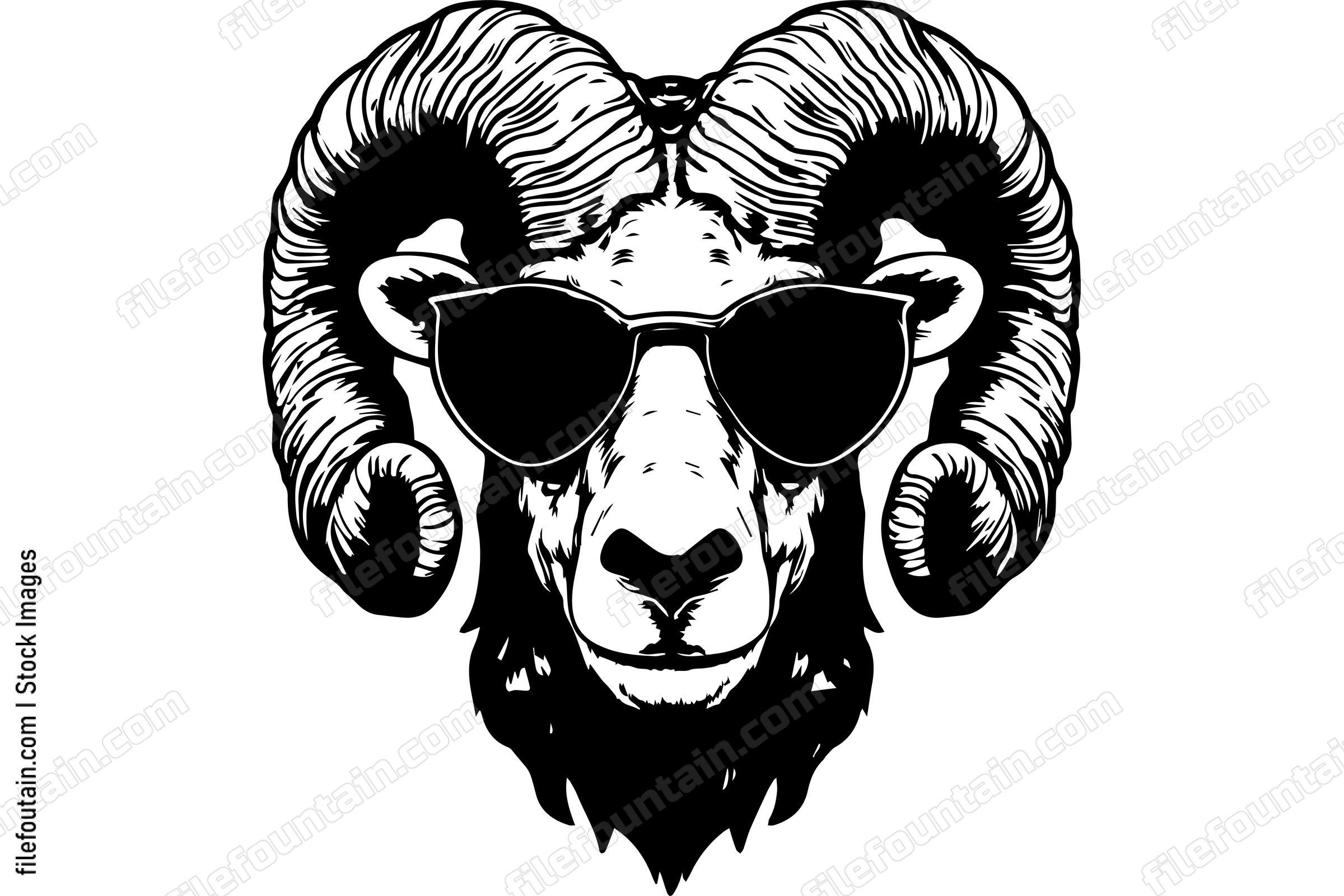 Bighorn Sheep In Sunglasses