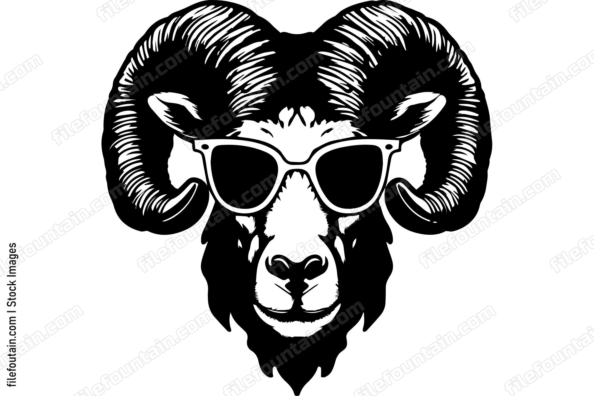 Bighorn Sheep In Sunglasses