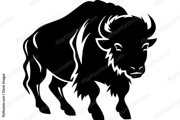 Bison