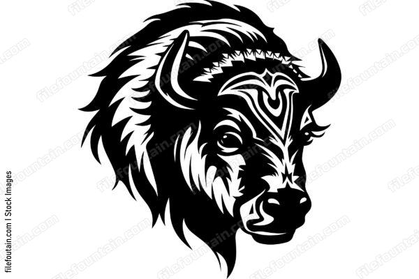 Bison