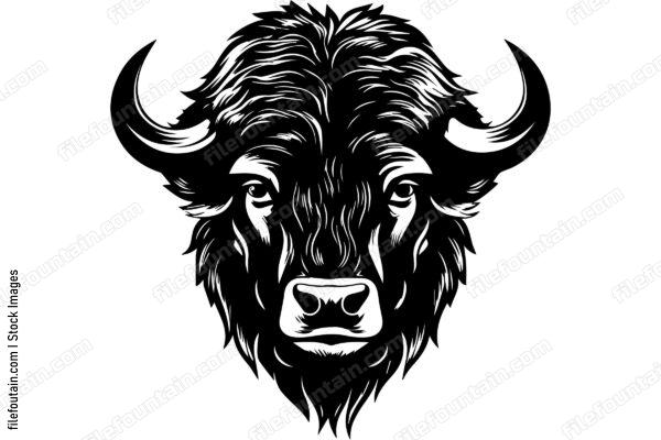 Bison